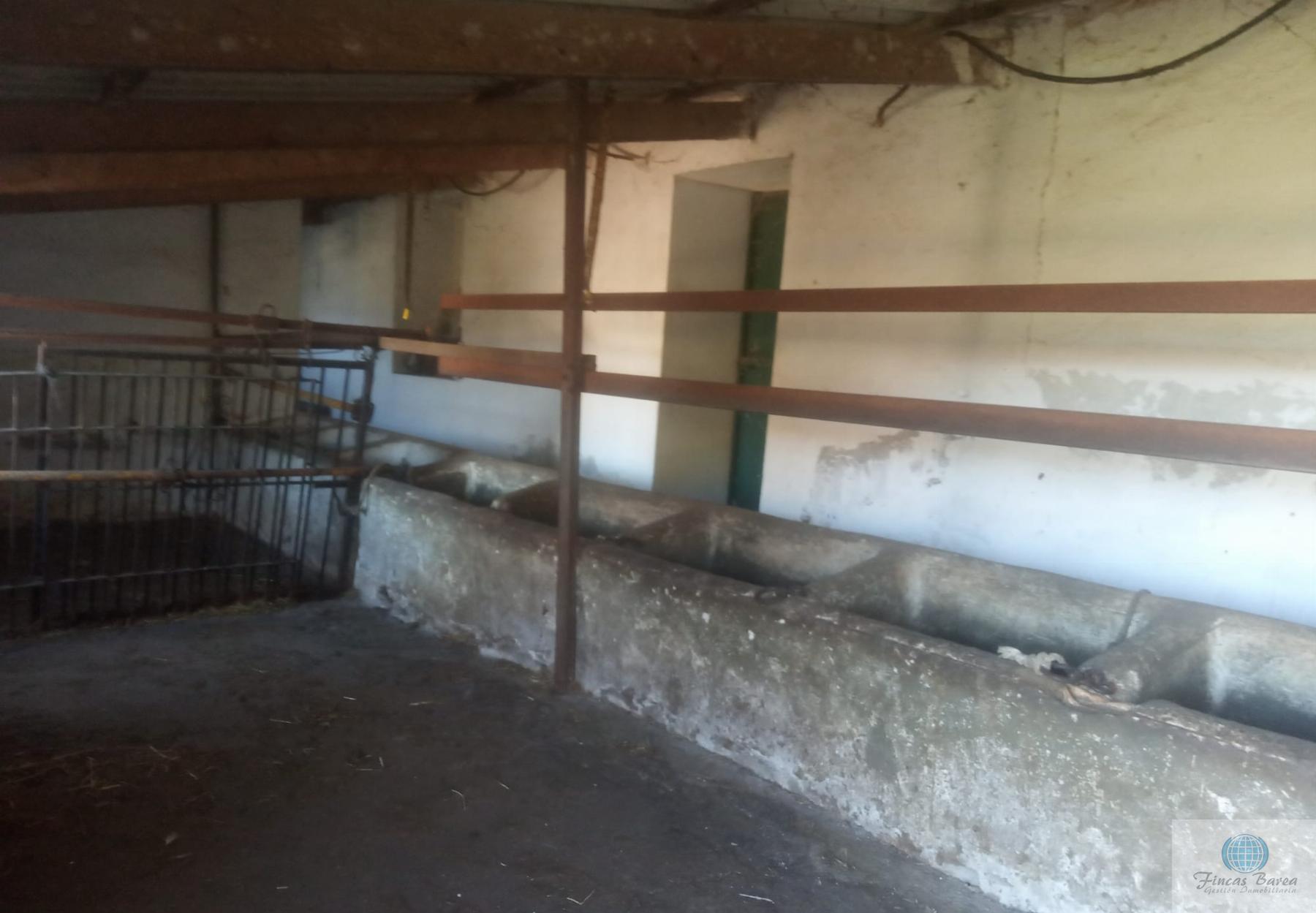 Venta de finca rústica en Mijas Costa