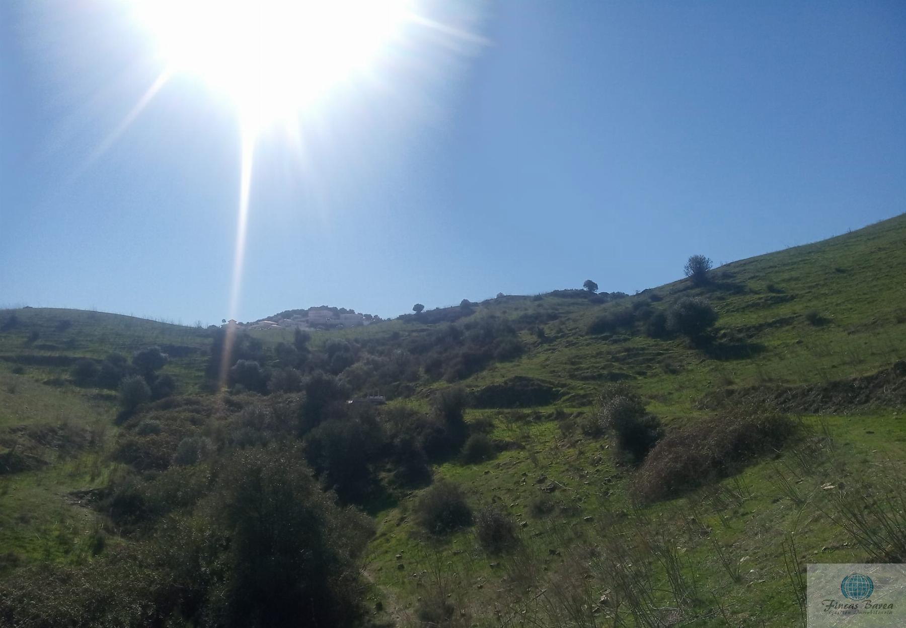 Venta de finca rústica en Mijas Costa