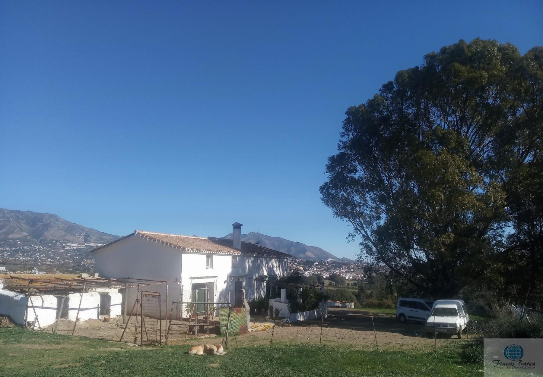 Venta de finca rústica en Mijas Costa