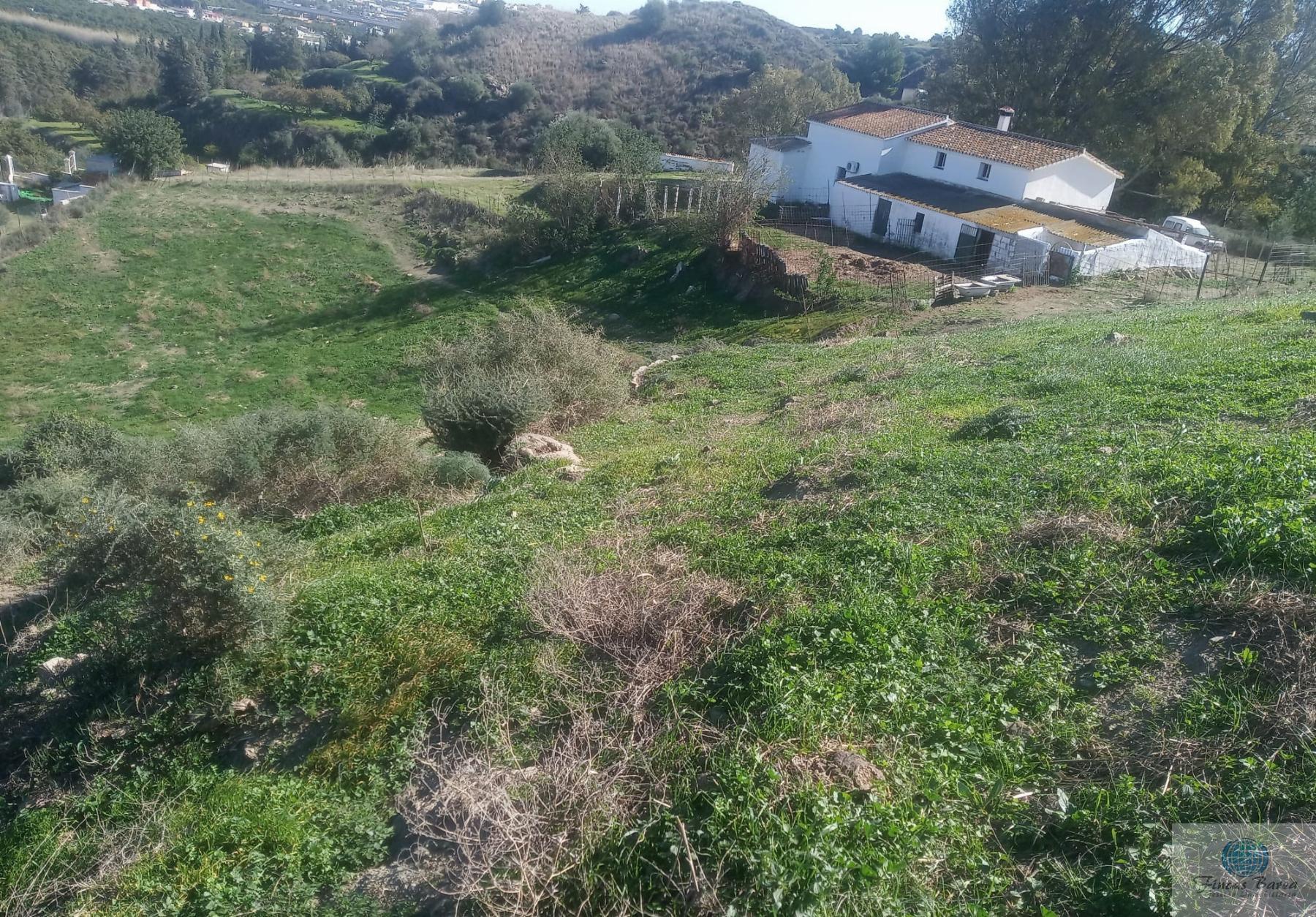 Venta de finca rústica en Mijas Costa
