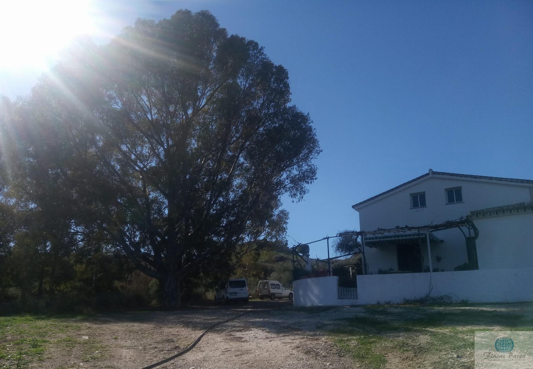 Venta de finca rústica en Mijas Costa