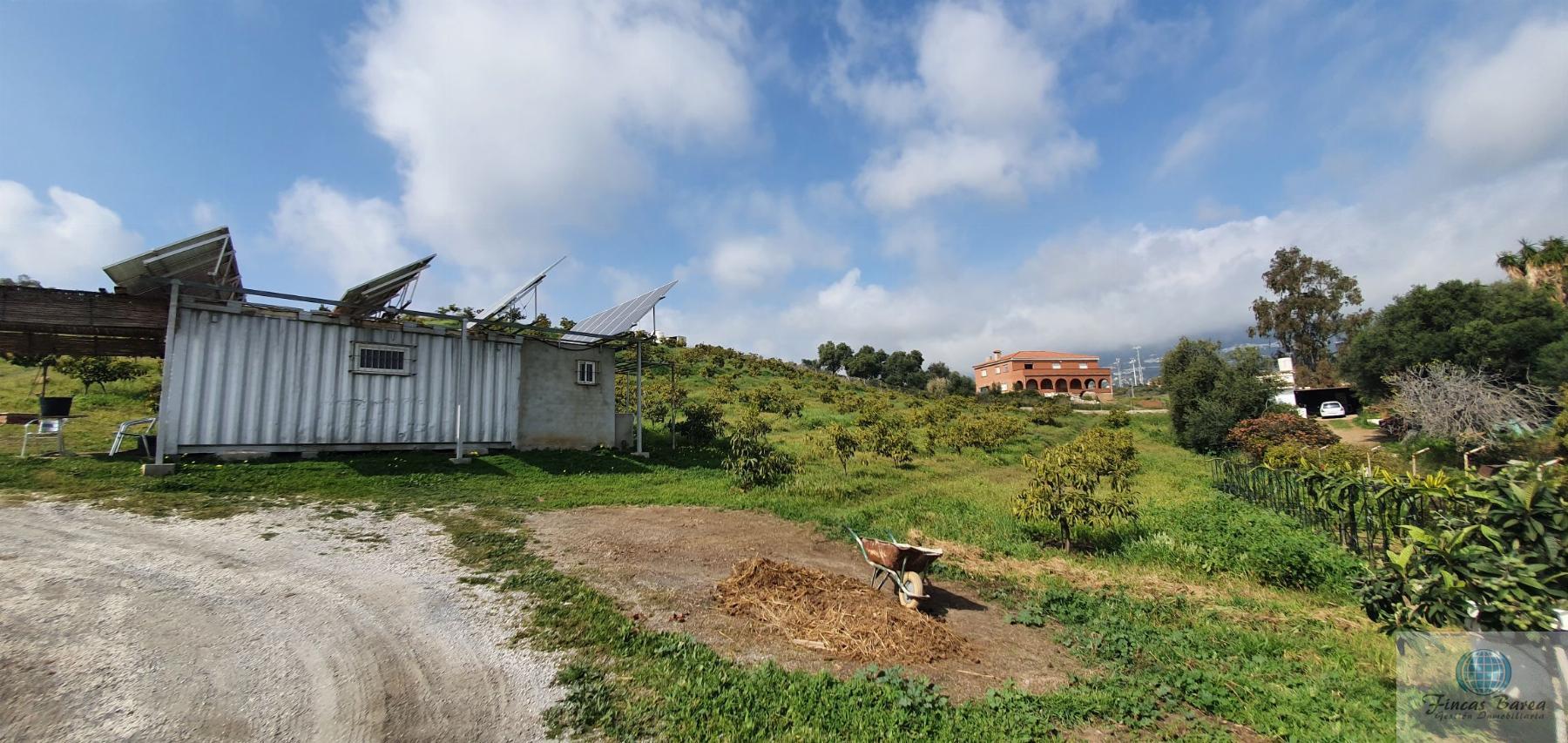 Venta de finca rústica en Mijas Costa Venta de finca rústica en Mijas Costa