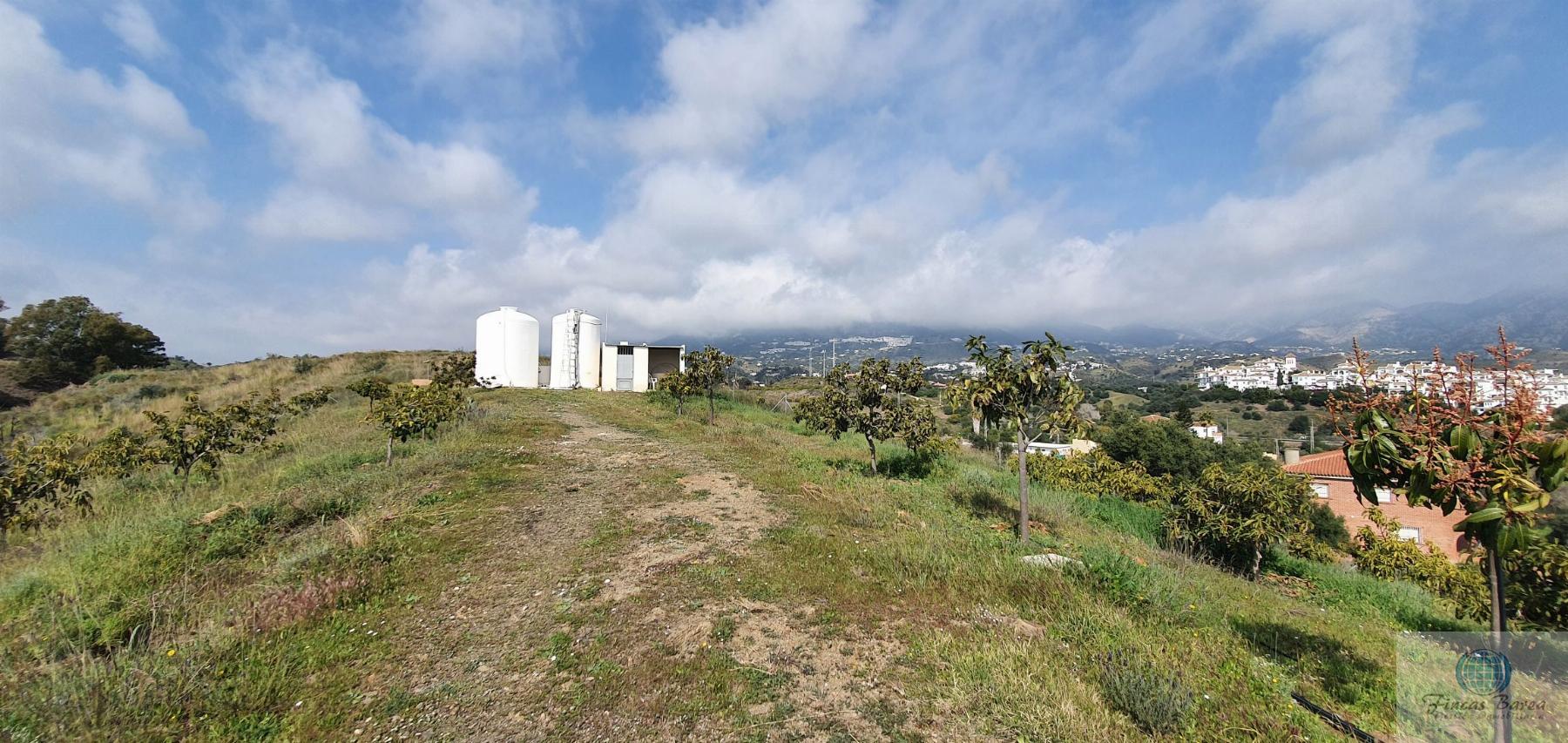 Venta de finca rústica en Mijas Costa Venta de finca rústica en Mijas Costa