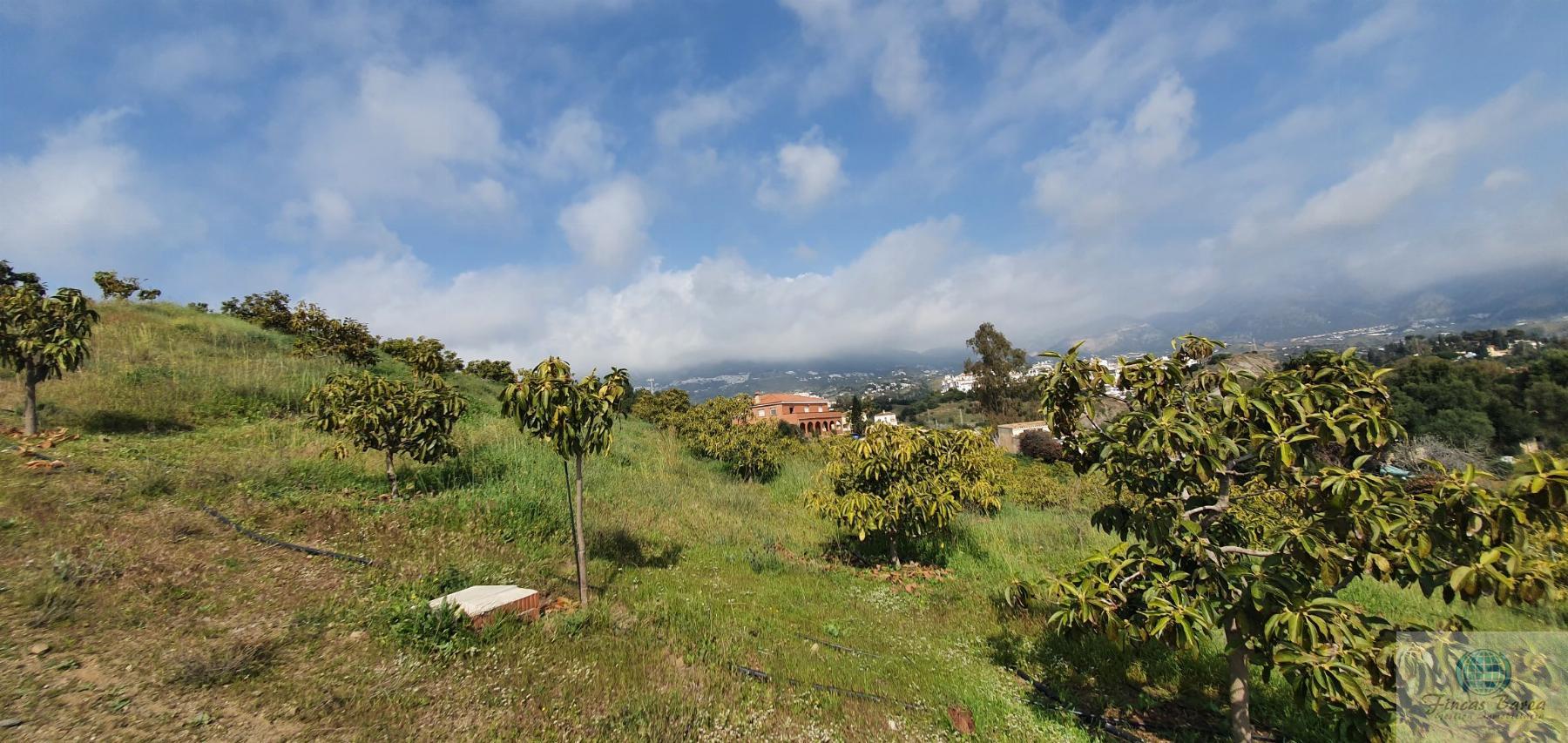 Venta de finca rústica en Mijas Costa Venta de finca rústica en Mijas Costa
