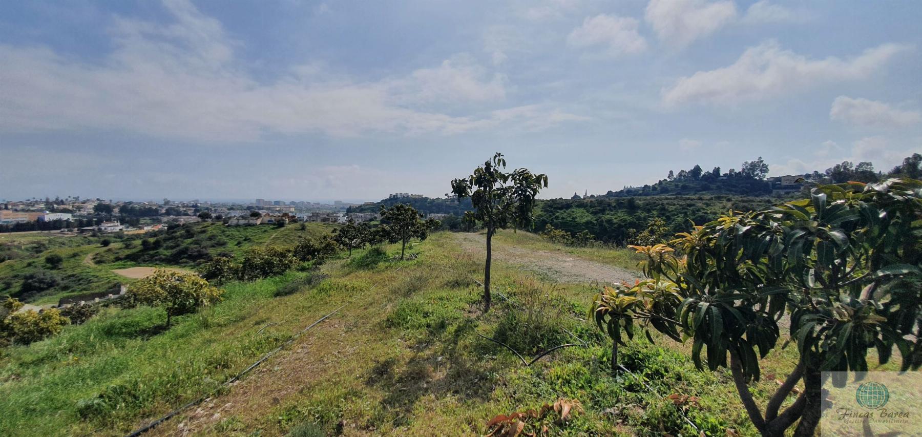 Venta de finca rústica en Mijas Costa Venta de finca rústica en Mijas Costa