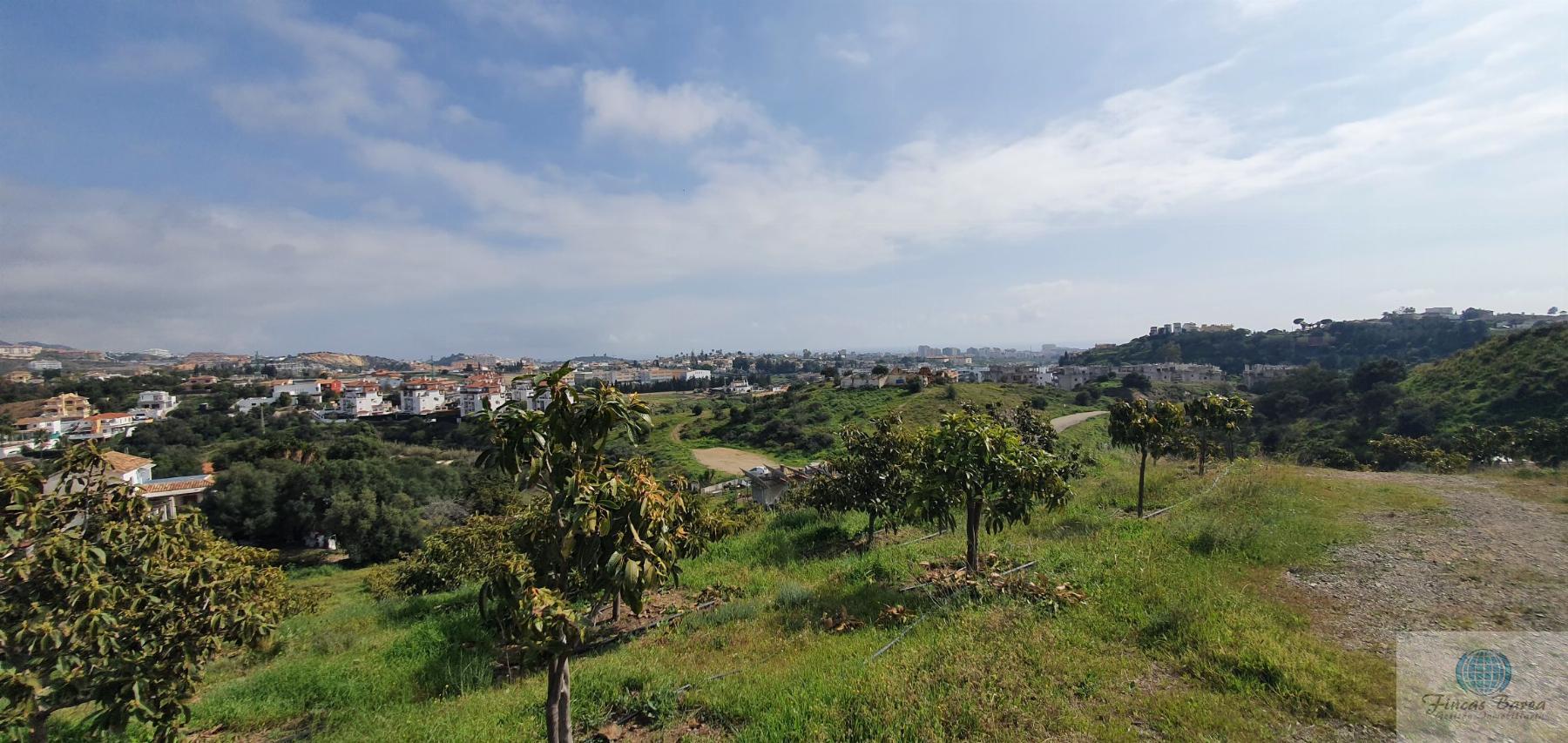 Venta de finca rústica en Mijas Costa Venta de finca rústica en Mijas Costa