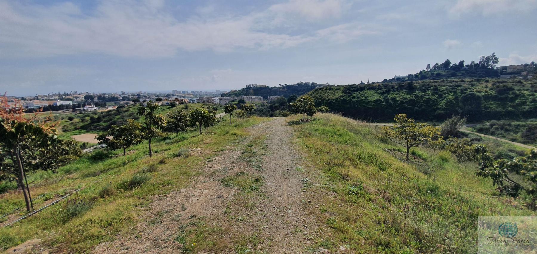 Venta de finca rústica en Mijas Costa Venta de finca rústica en Mijas Costa