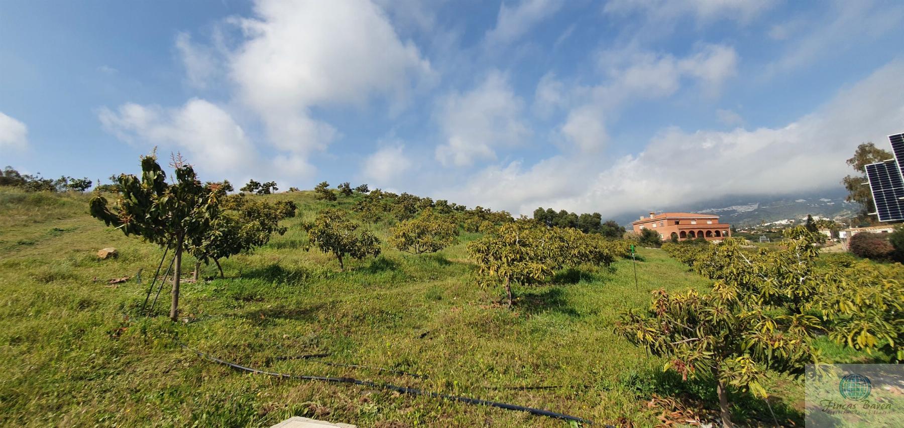 Venta de finca rústica en Mijas Costa Venta de finca rústica en Mijas Costa