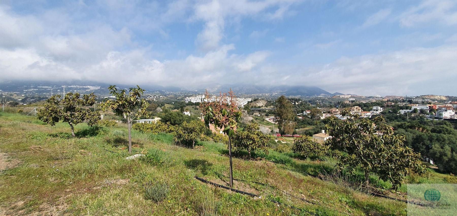 Venta de finca rústica en Mijas Costa Venta de finca rústica en Mijas Costa