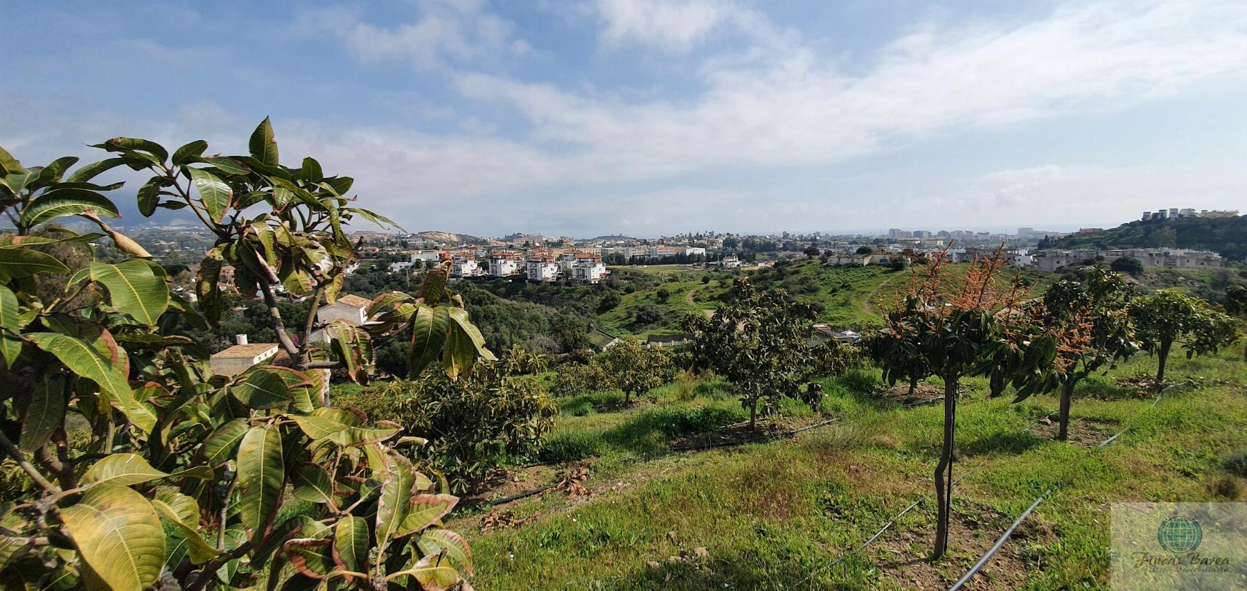 Venta de finca rústica en Mijas Costa Venta de finca rústica en Mijas Costa