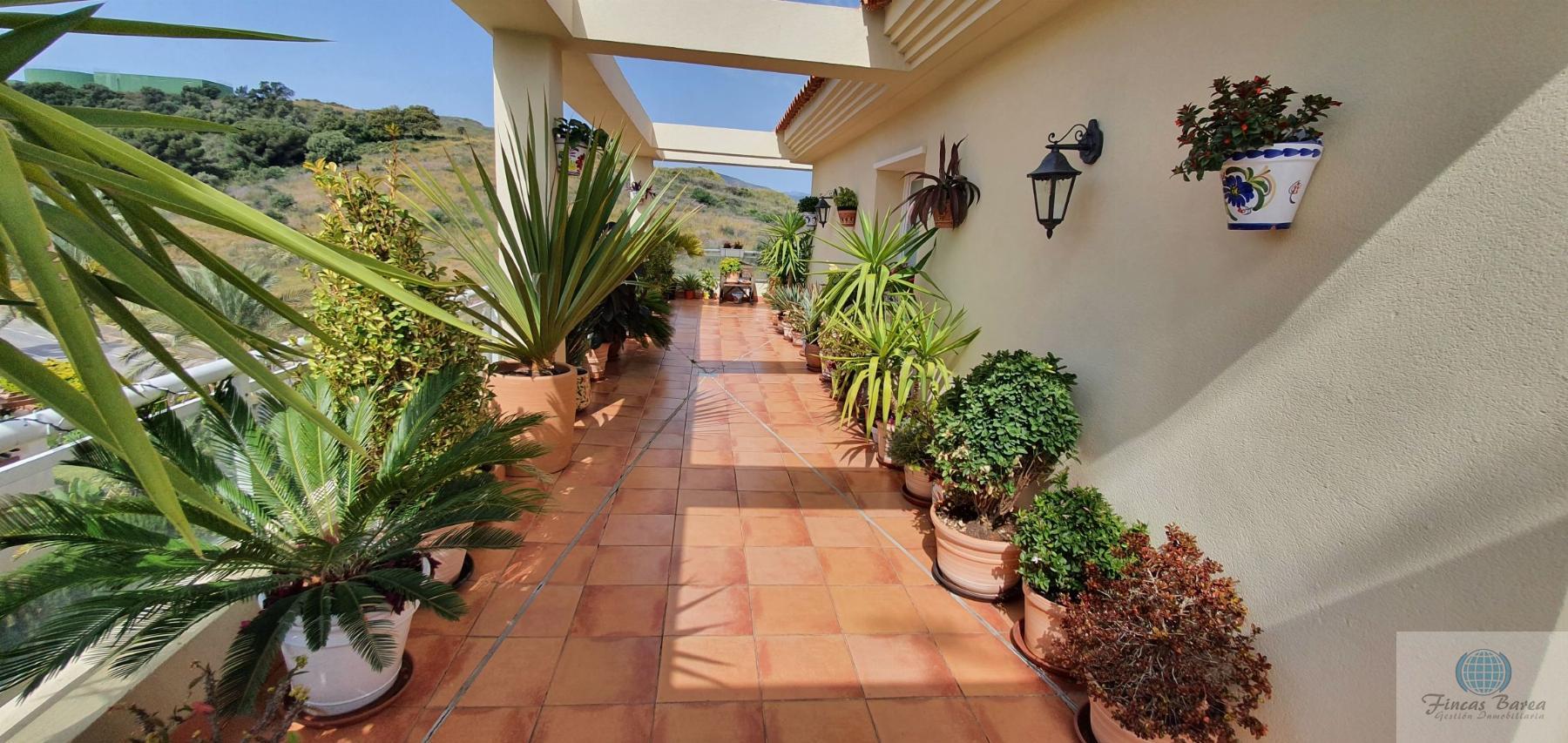 For rent of penthouse in Mijas Costa