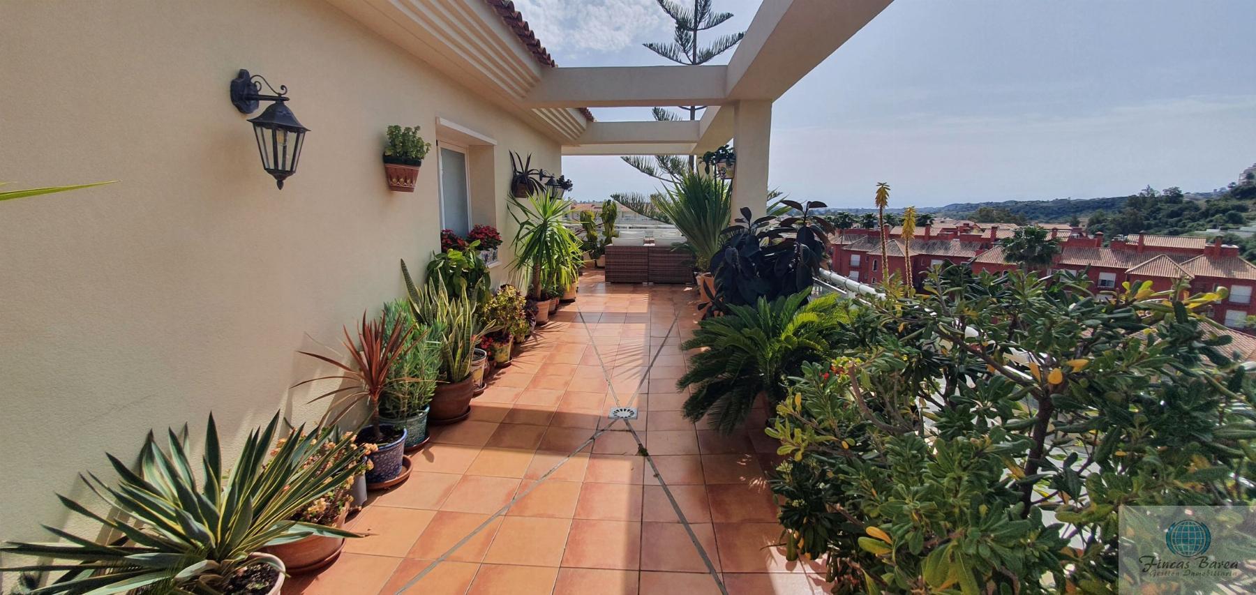 For rent of penthouse in Mijas Costa
