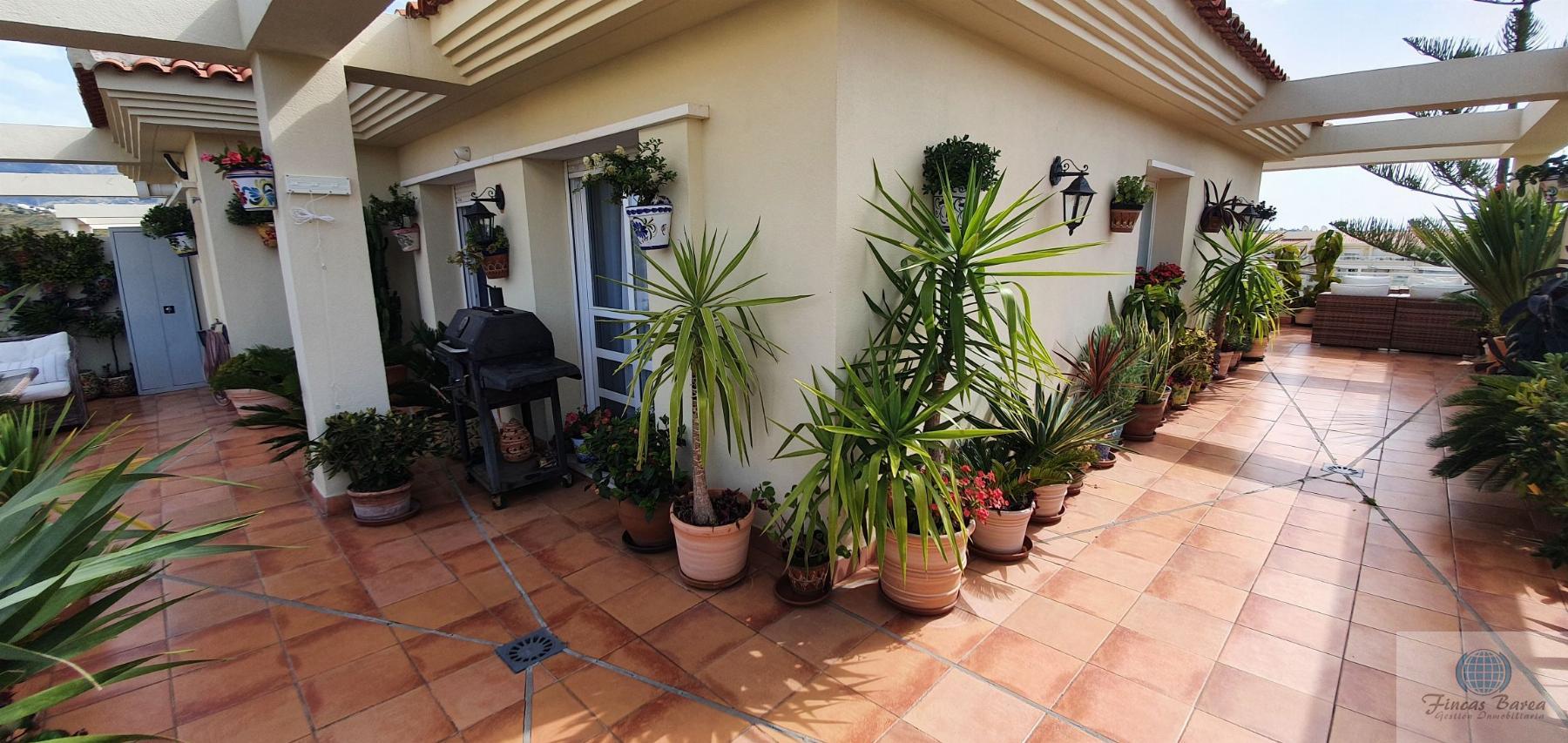 For rent of penthouse in Mijas Costa