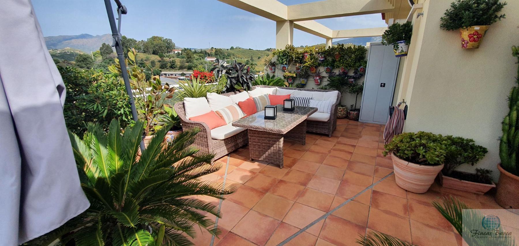 For rent of penthouse in Mijas Costa