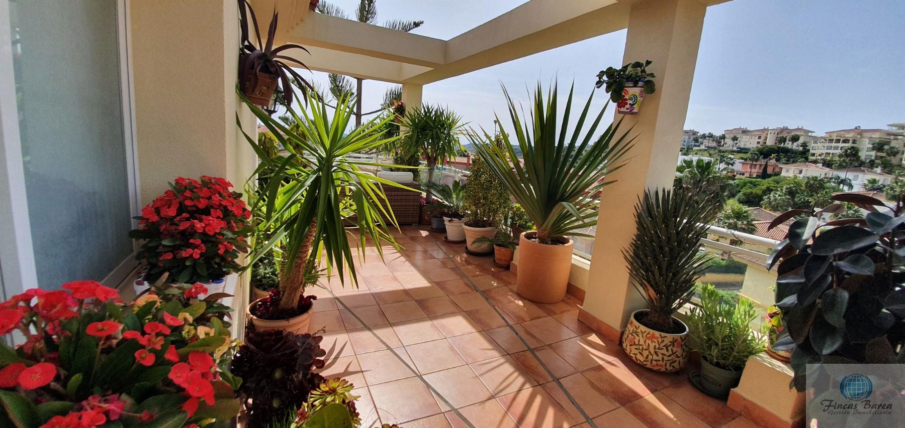 For rent of penthouse in Mijas Costa