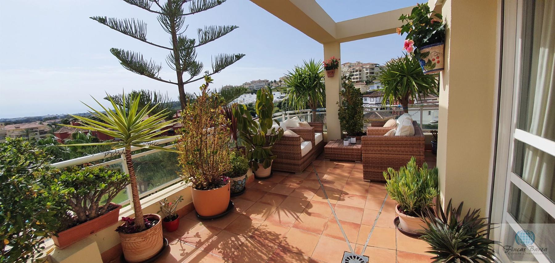 For rent of penthouse in Mijas Costa