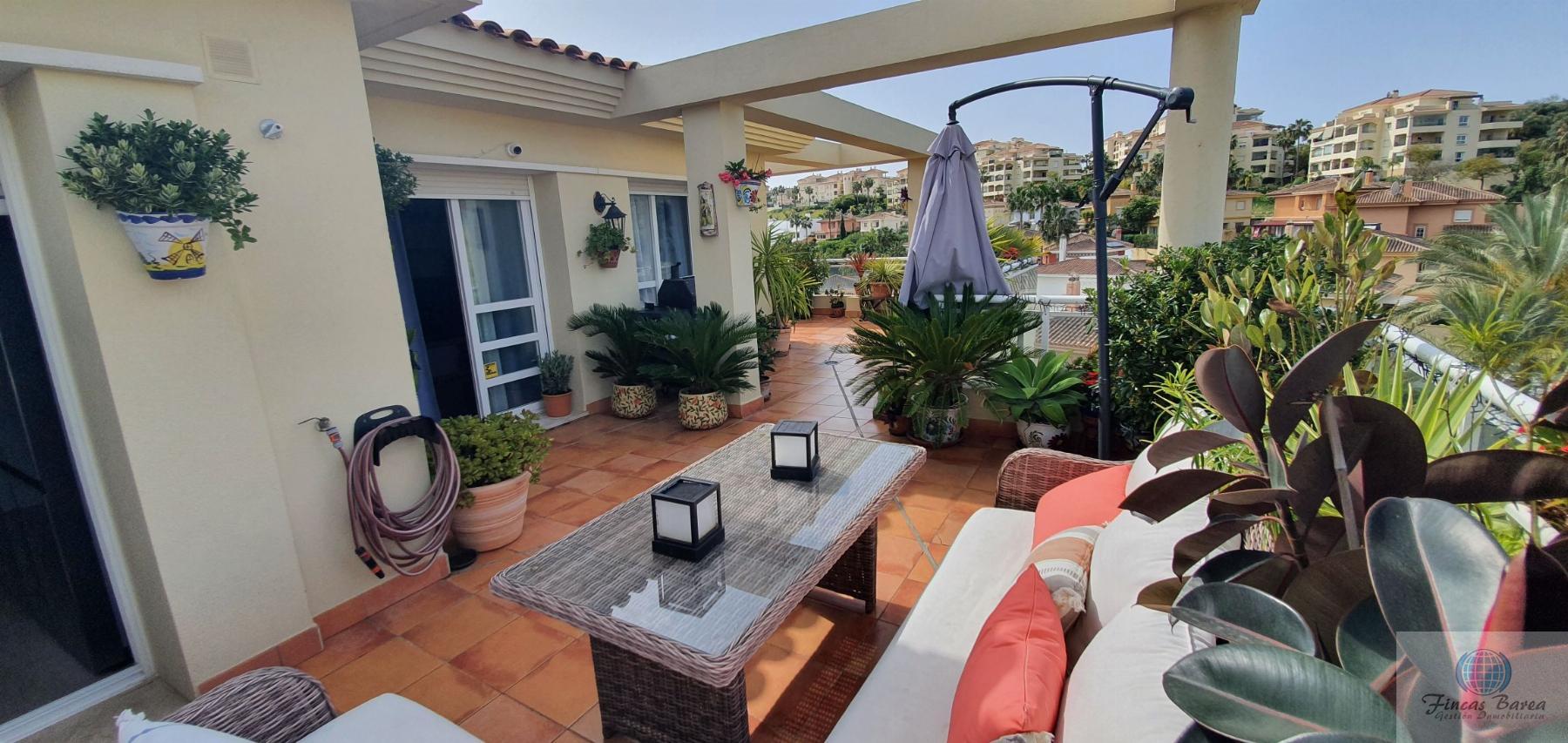 For rent of penthouse in Mijas Costa