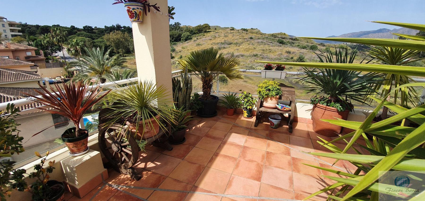 For rent of penthouse in Mijas Costa