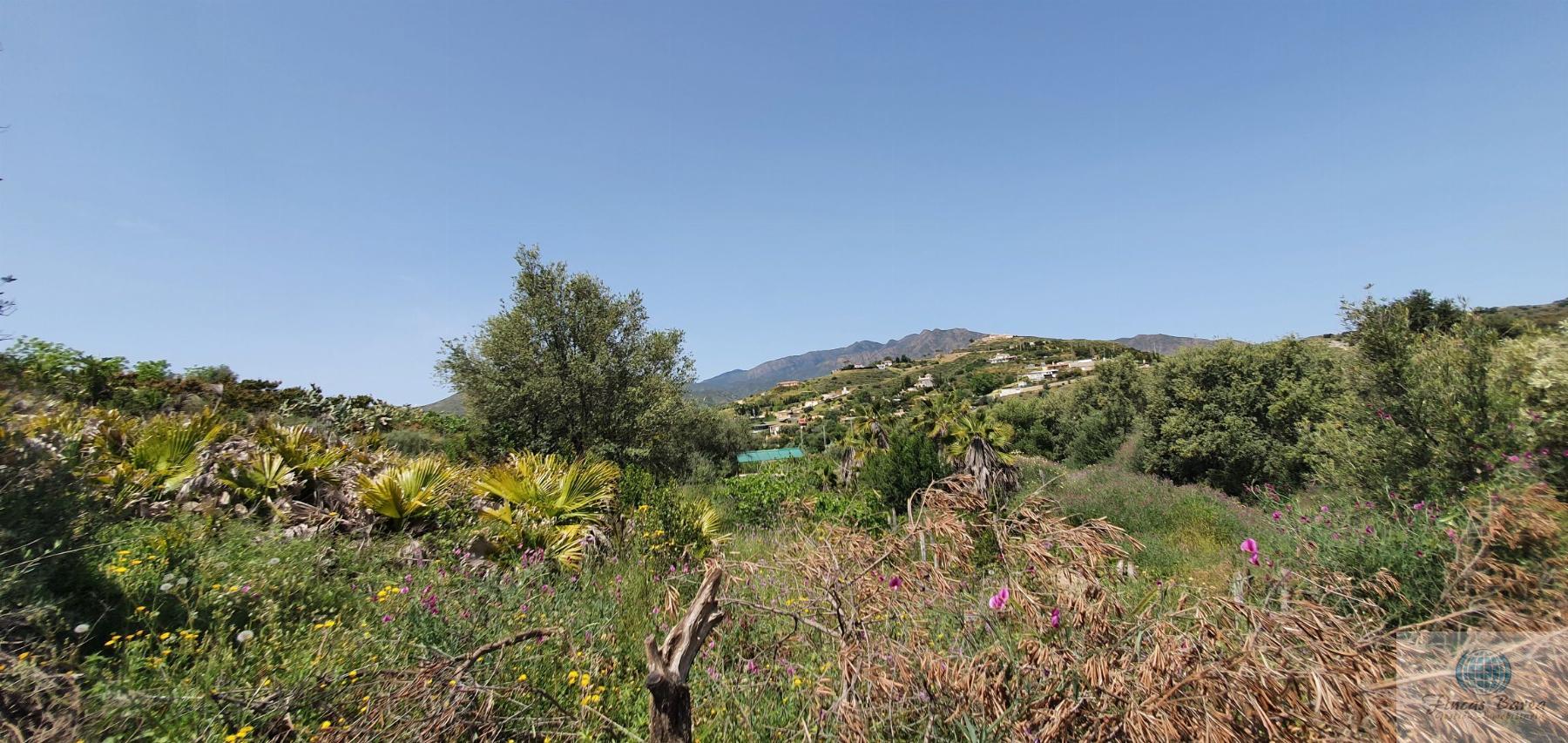 For sale of land in Mijas Costa