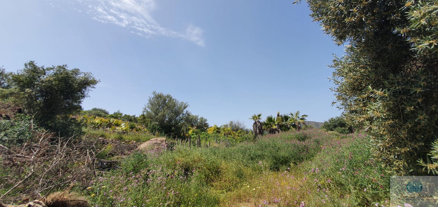 For sale of land in Mijas Costa