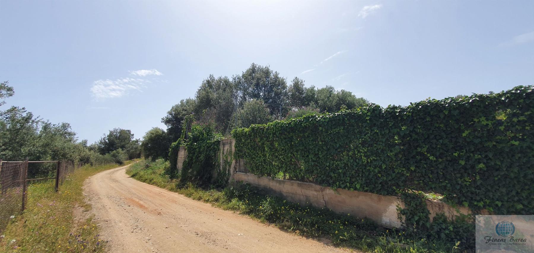 For sale of land in Mijas Costa