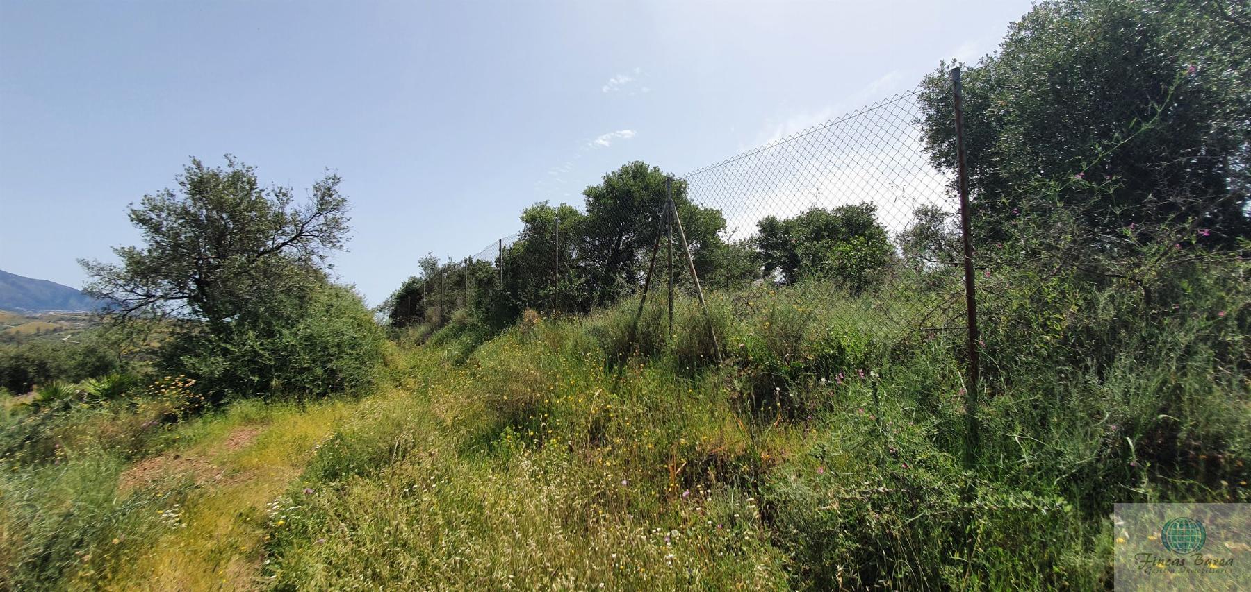 For sale of land in Mijas Costa