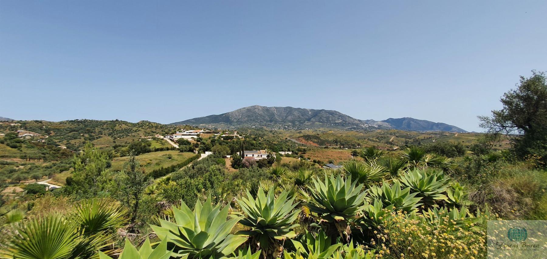 Venta de terreno en Mijas Costa