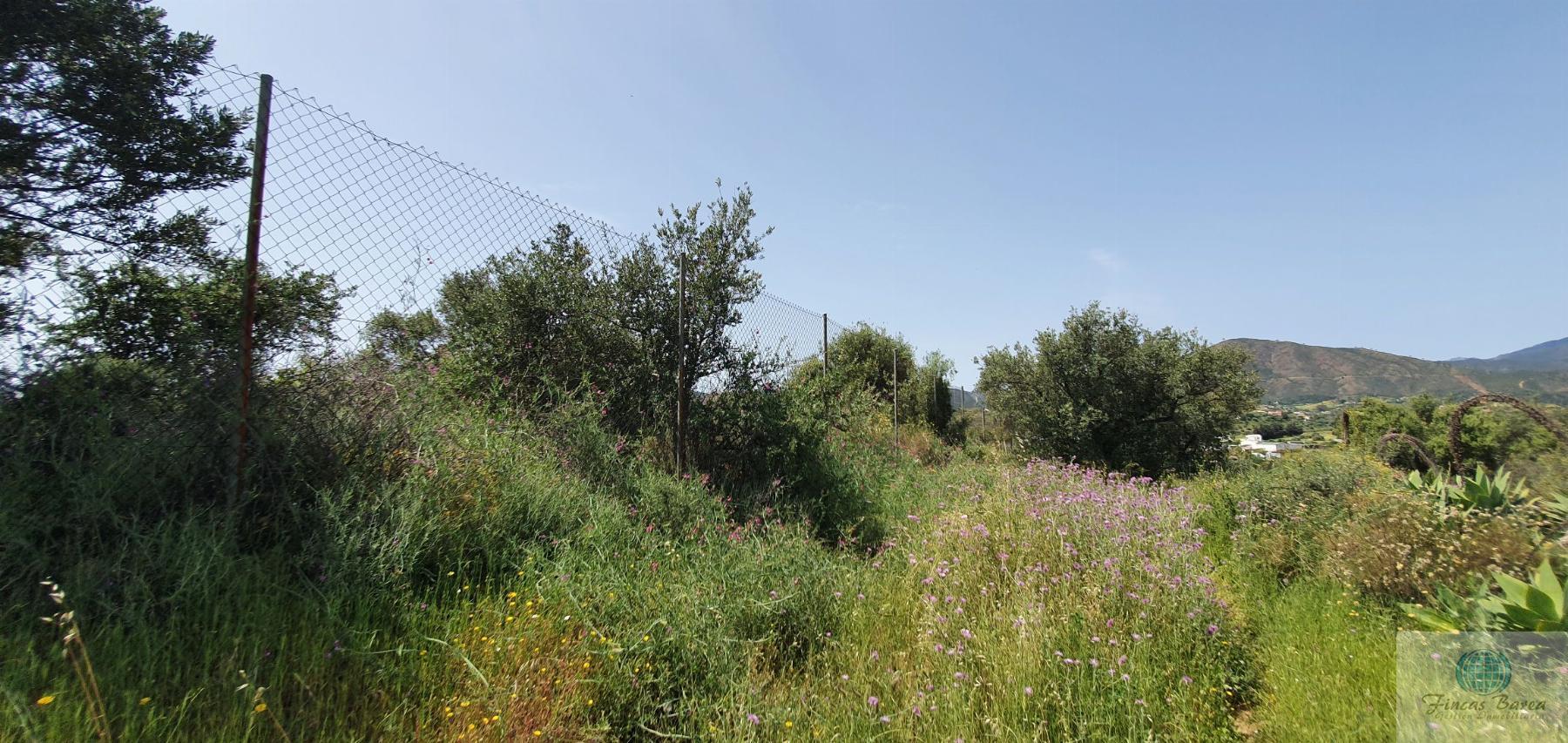 For sale of land in Mijas Costa