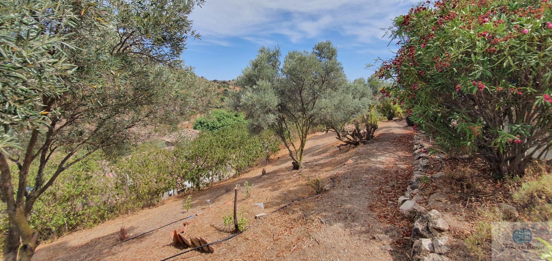 For sale of rural property in Almogía