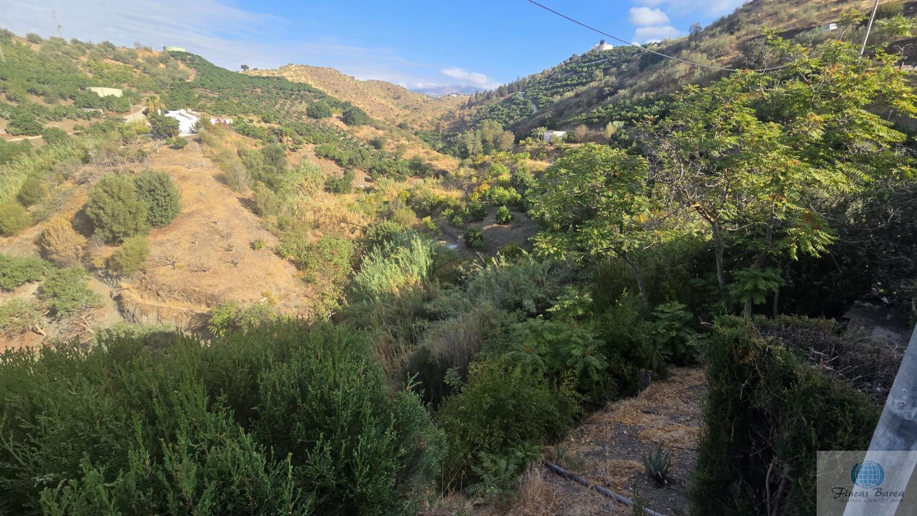 Venta de finca rústica en Canillas de Aceituno