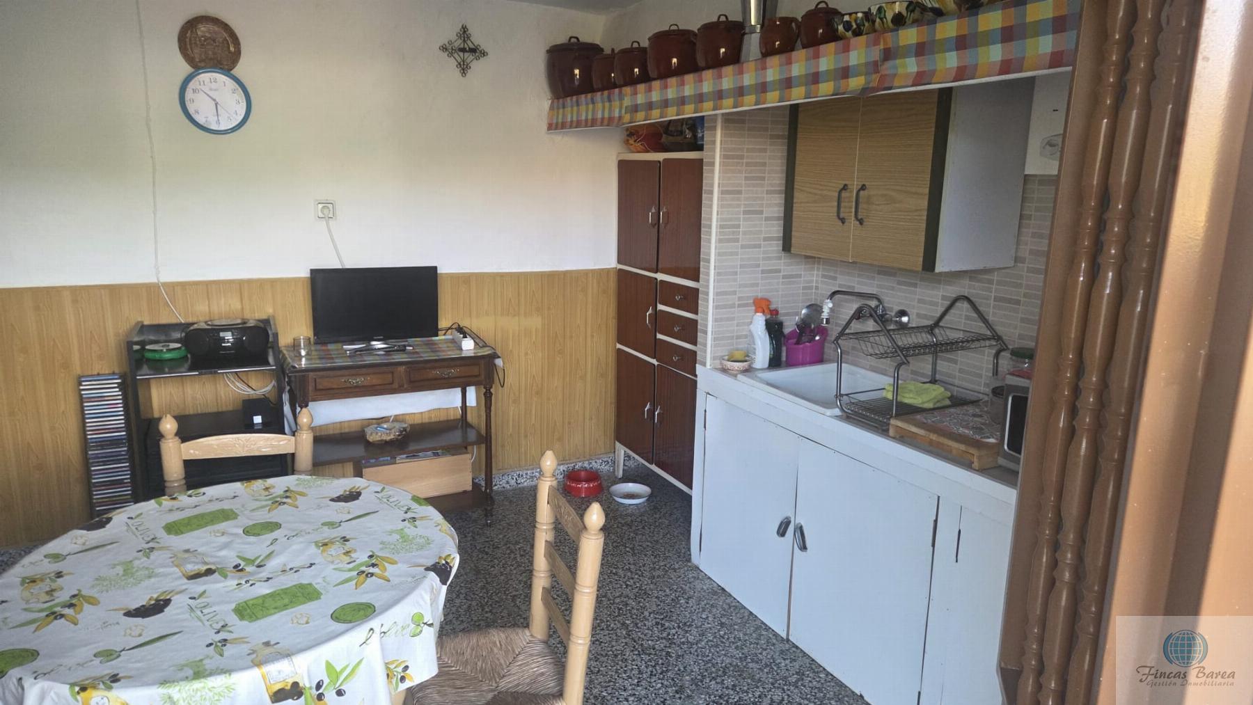 Venta de finca rústica en Canillas de Aceituno