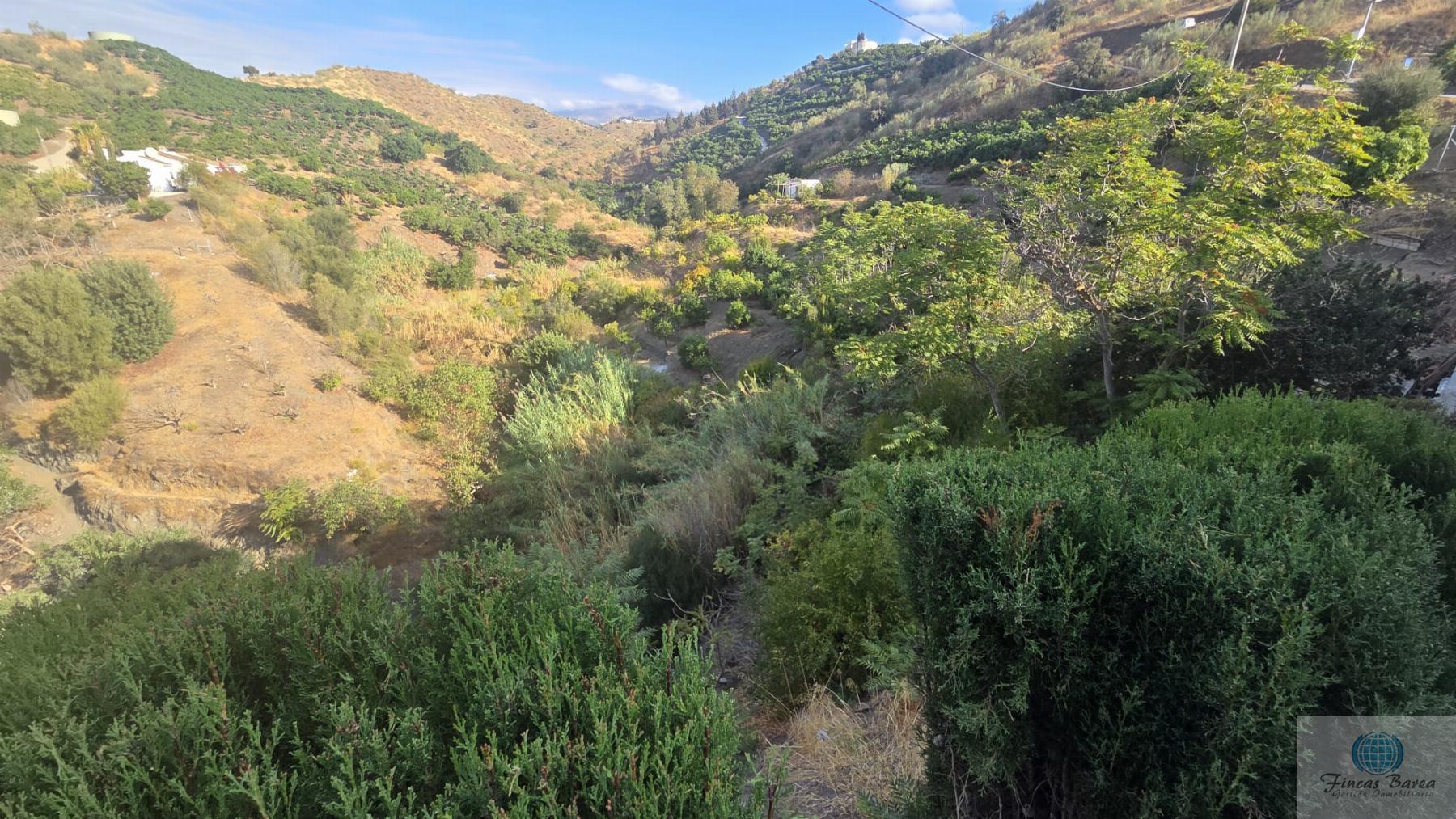 Venta de finca rústica en Canillas de Aceituno