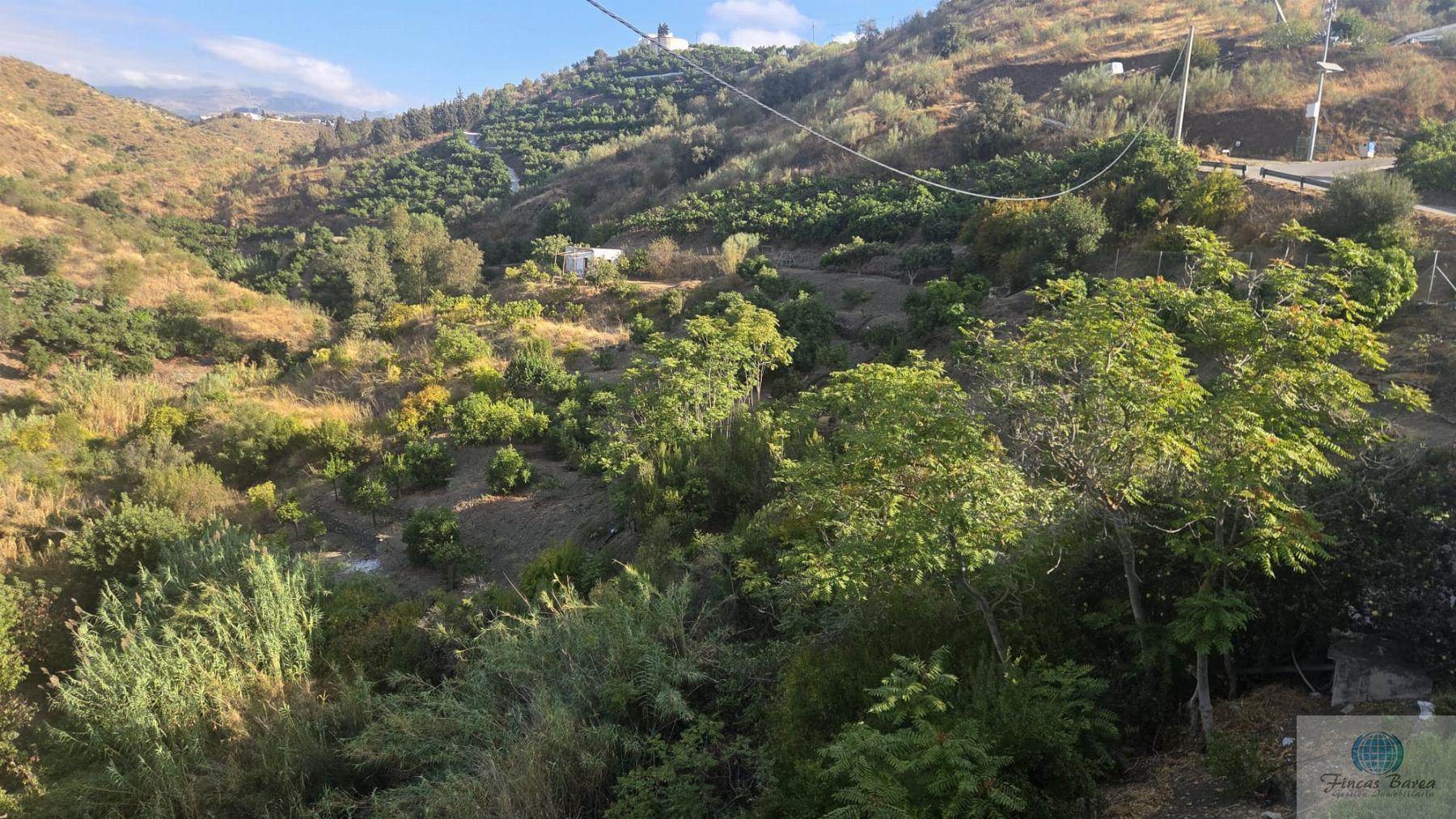 Venta de finca rústica en Canillas de Aceituno