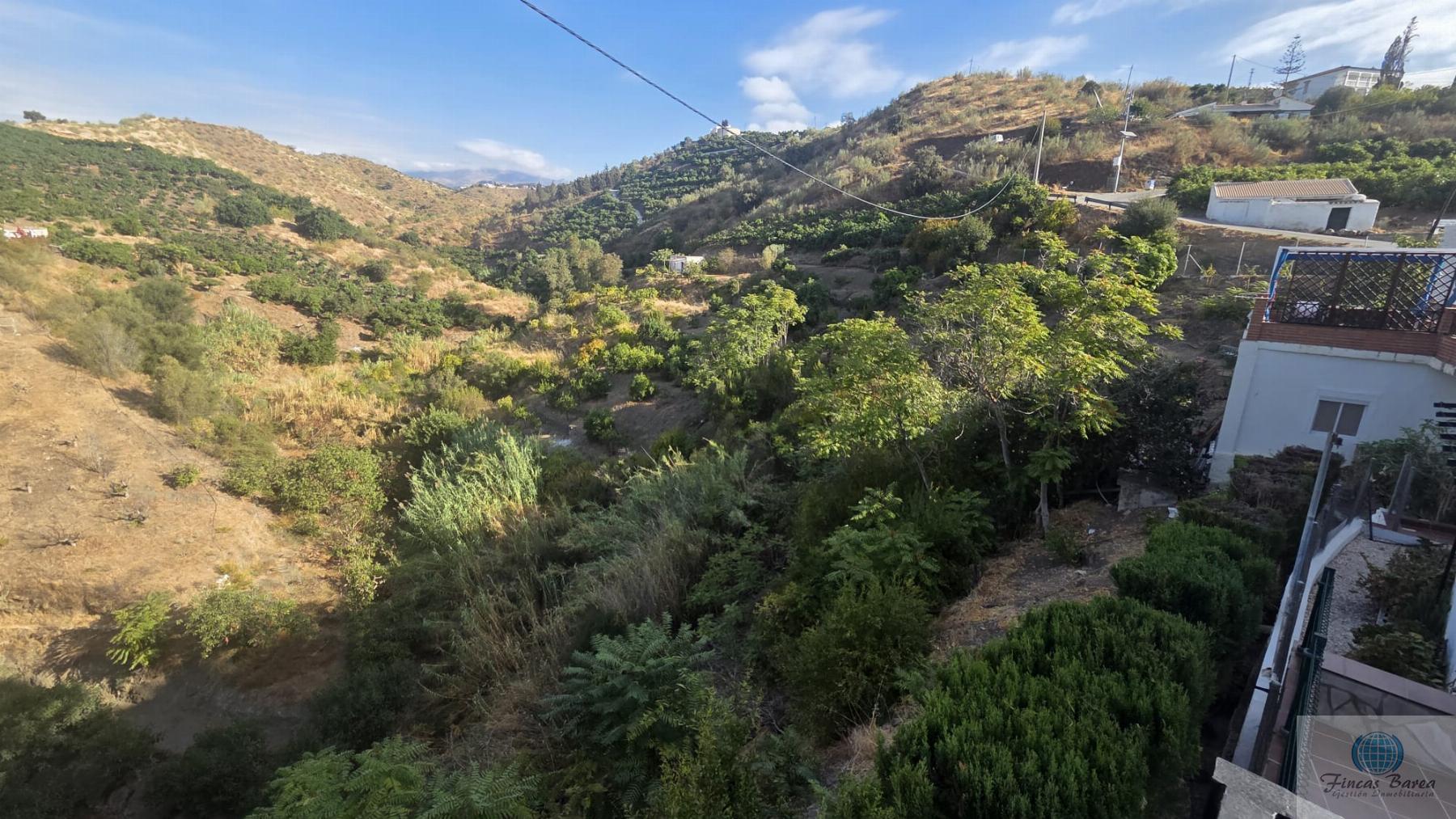 Venta de finca rústica en Canillas de Aceituno