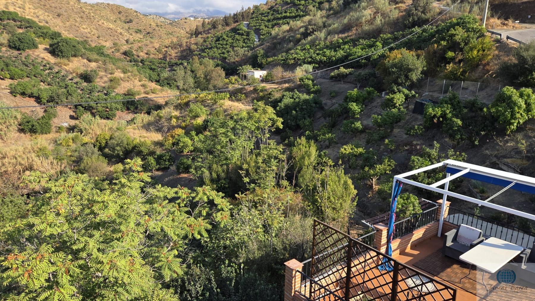 Venta de finca rústica en Canillas de Aceituno