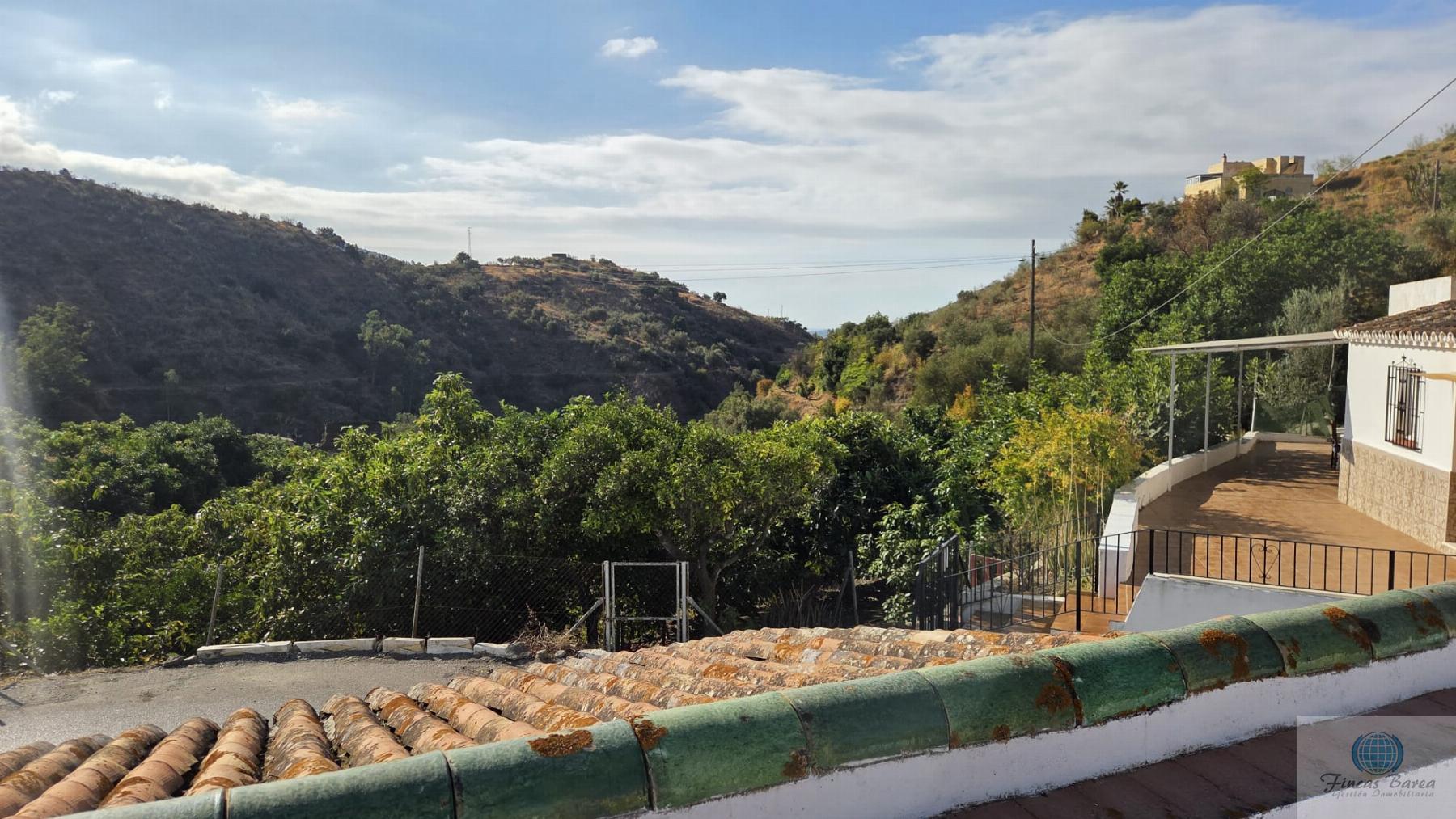 Venta de finca rústica en Canillas de Aceituno