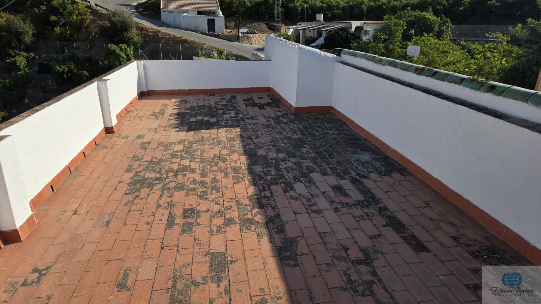 Venta de finca rústica en Canillas de Aceituno