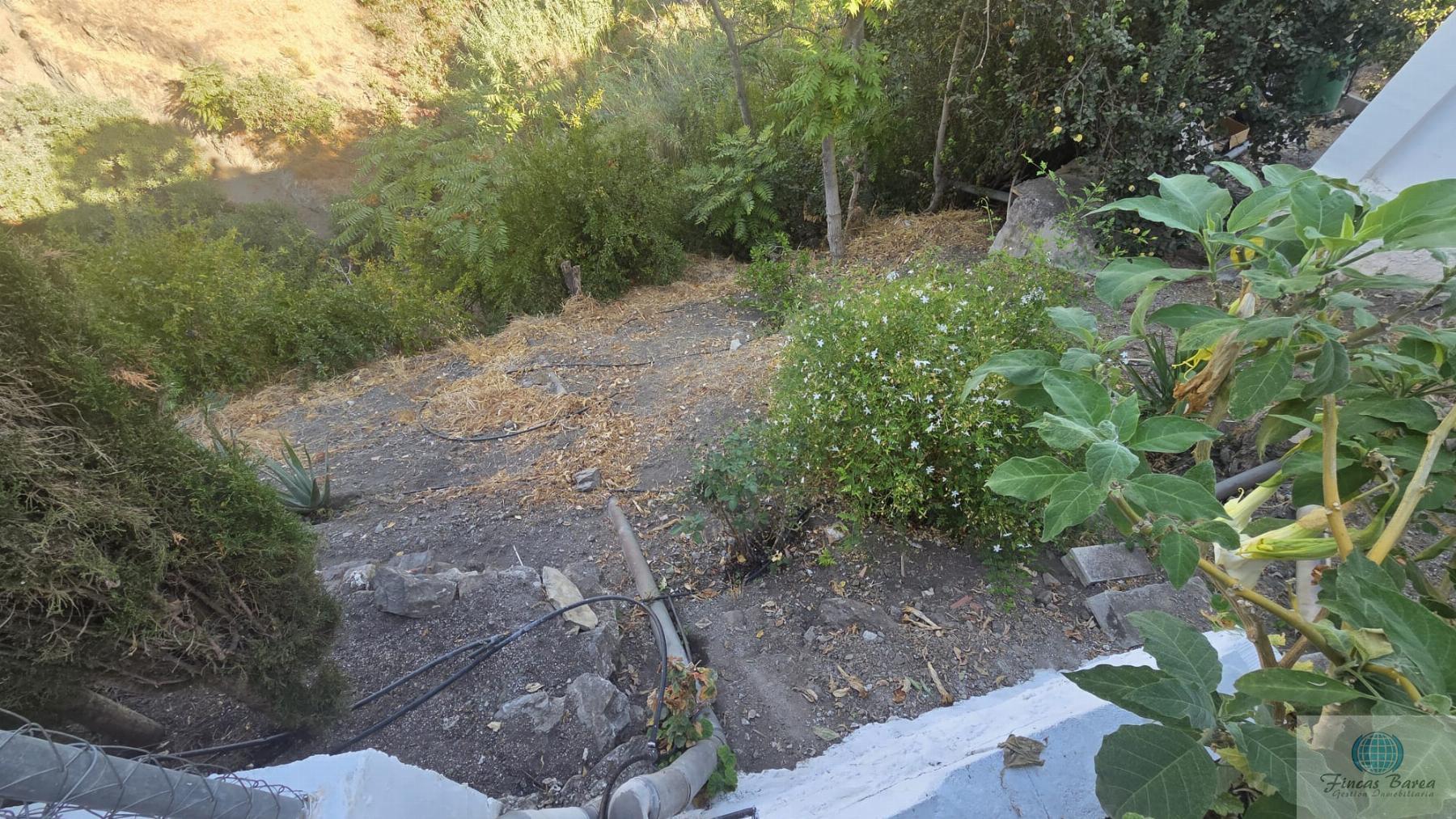 Venta de finca rústica en Canillas de Aceituno