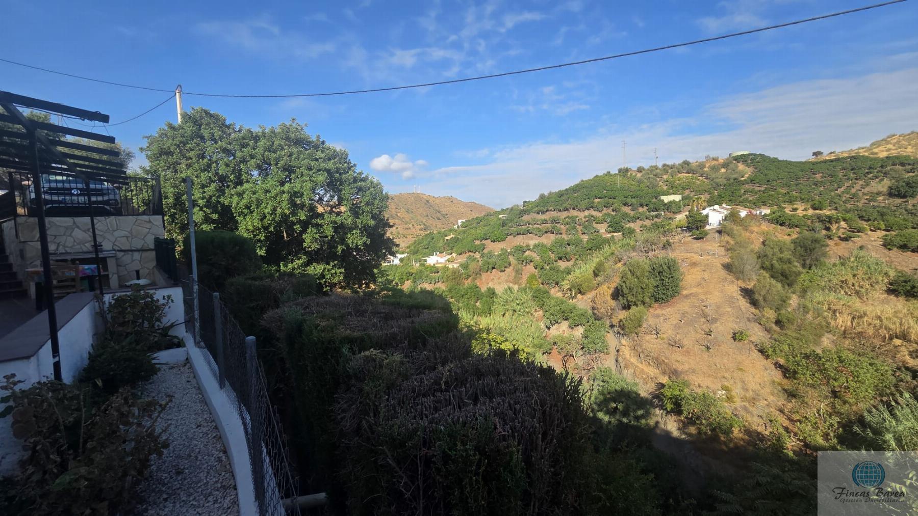 Venta de finca rústica en Canillas de Aceituno