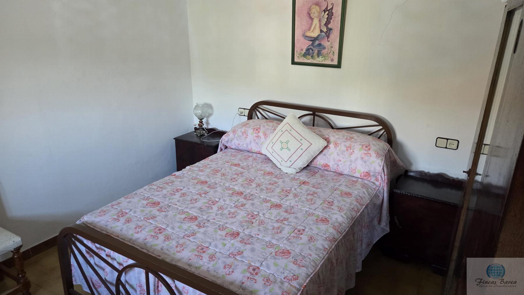 Venta de finca rústica en Canillas de Aceituno