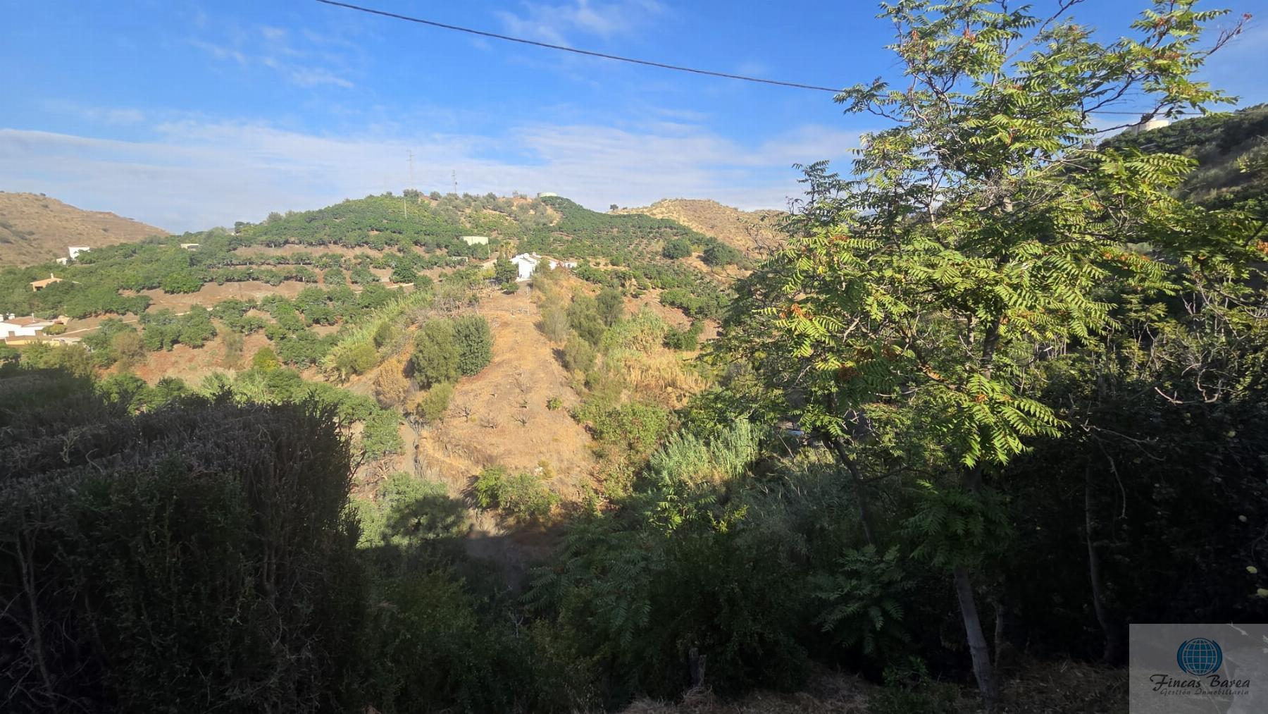 Venta de finca rústica en Canillas de Aceituno