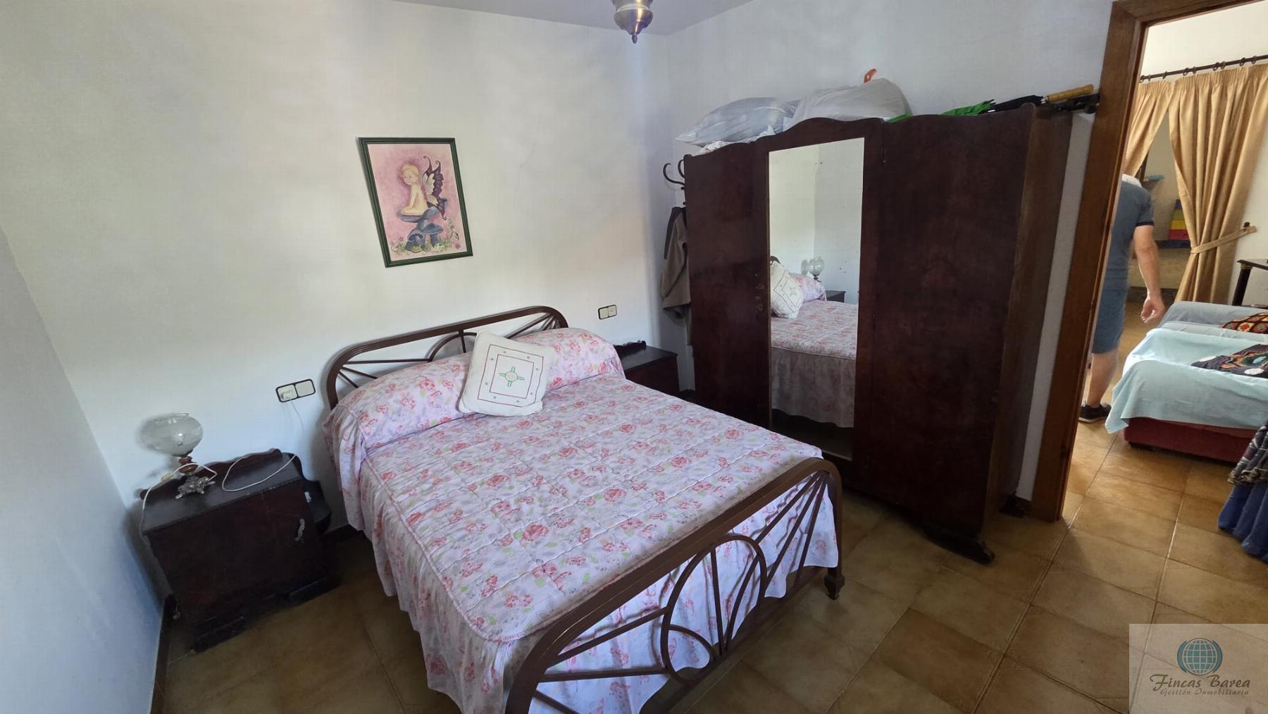 Venta de finca rústica en Canillas de Aceituno