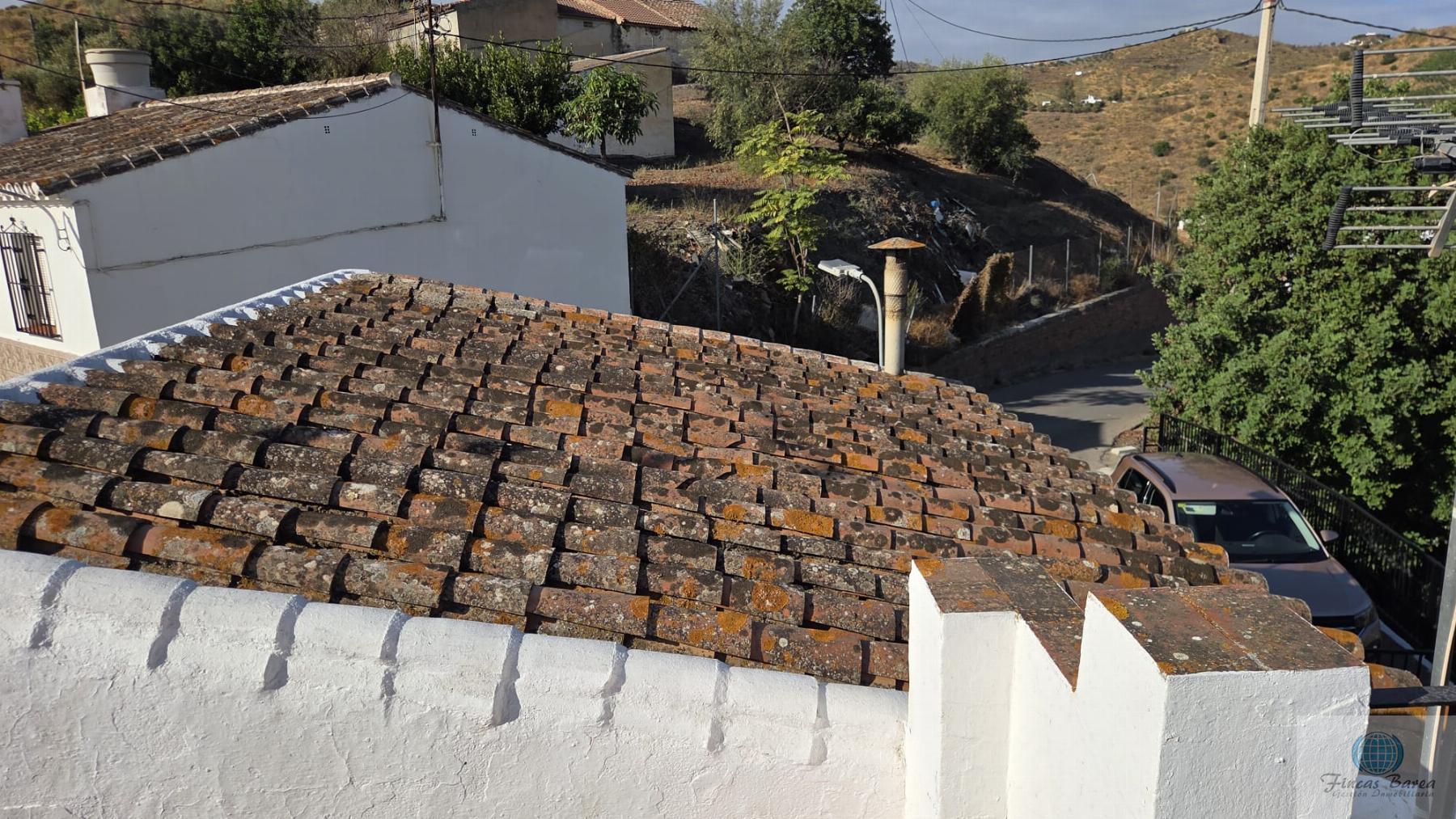 Venta de finca rústica en Canillas de Aceituno