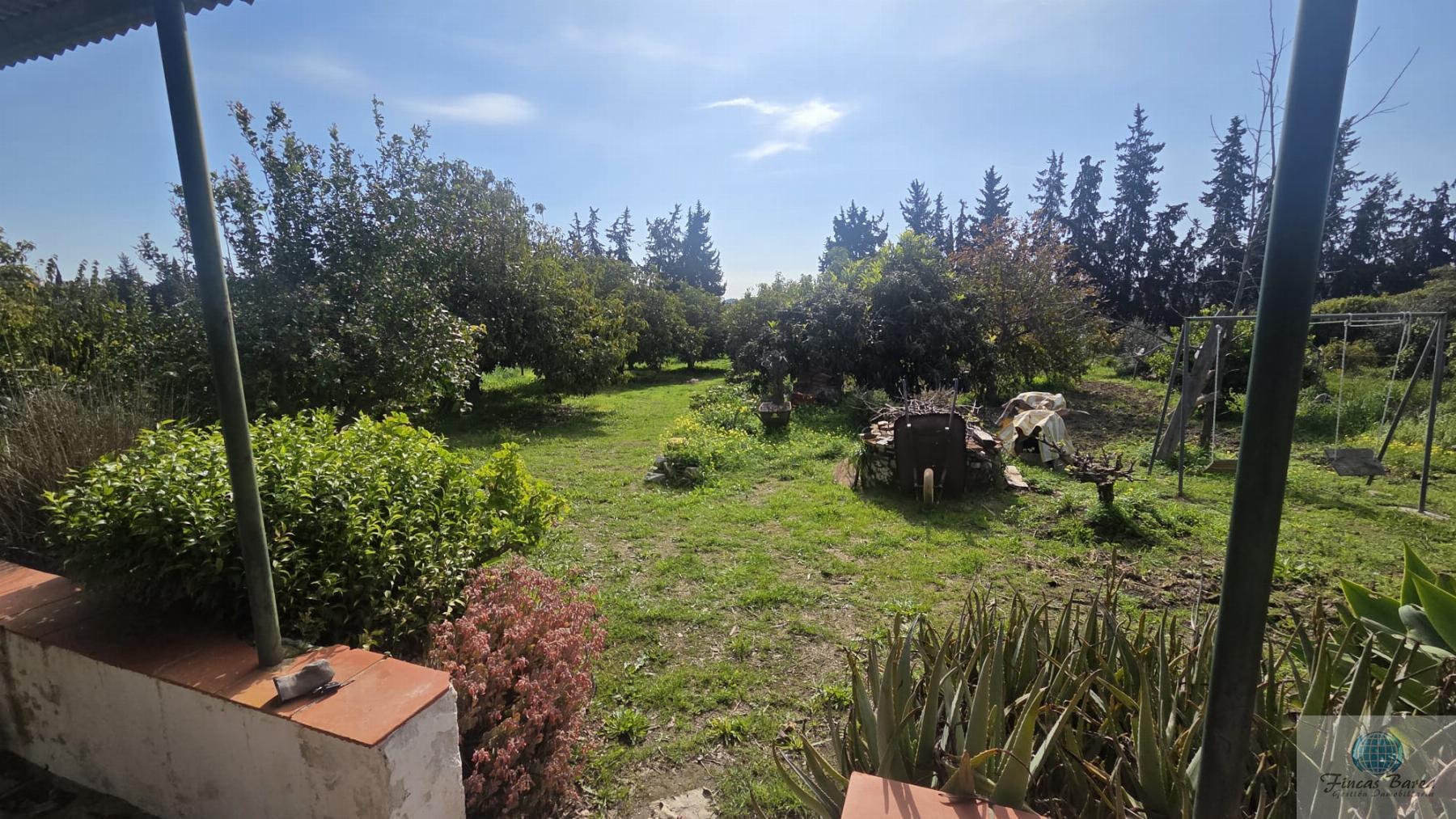 Venta de finca rústica en Mijas