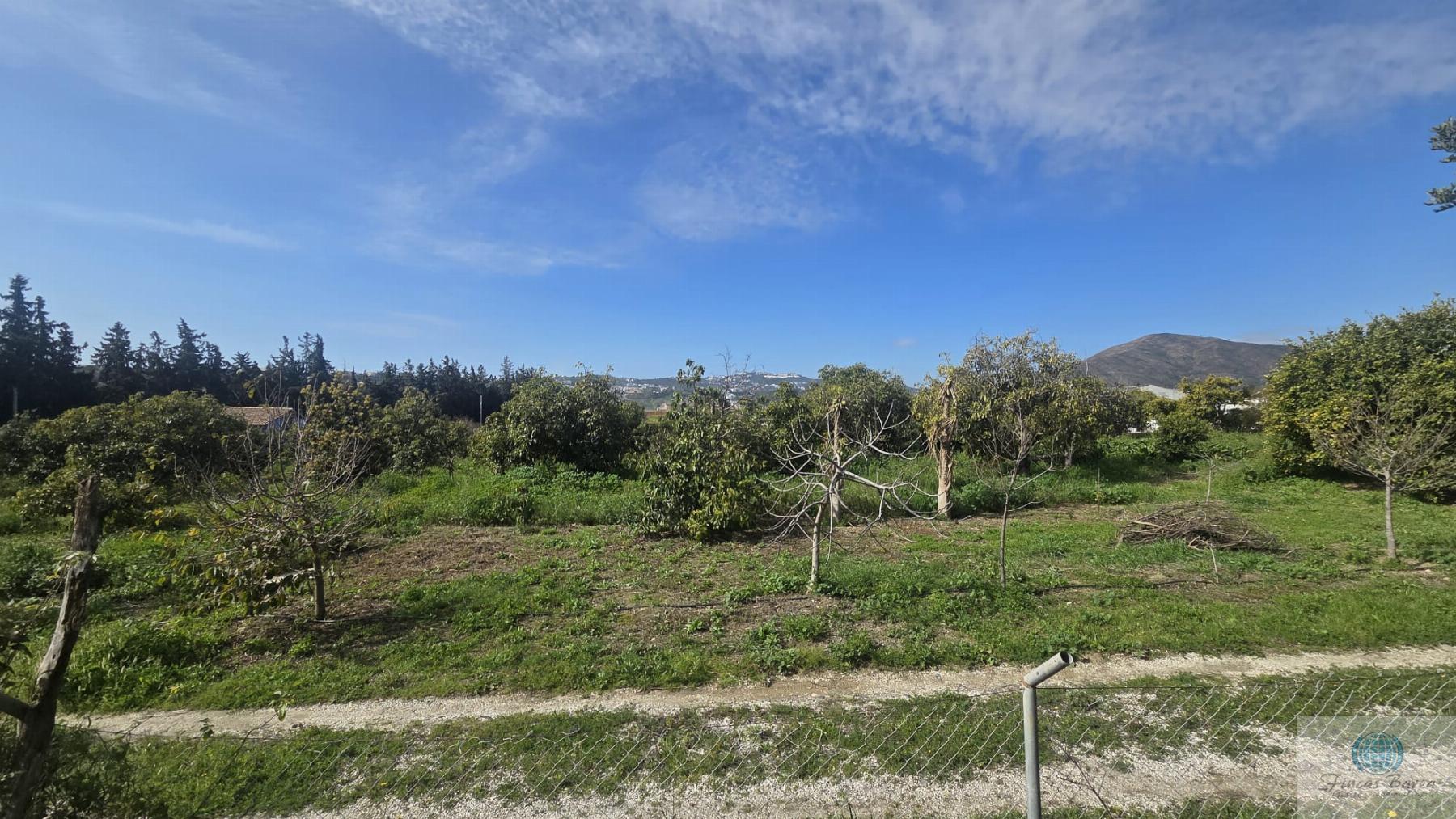 Venta de finca rústica en Mijas