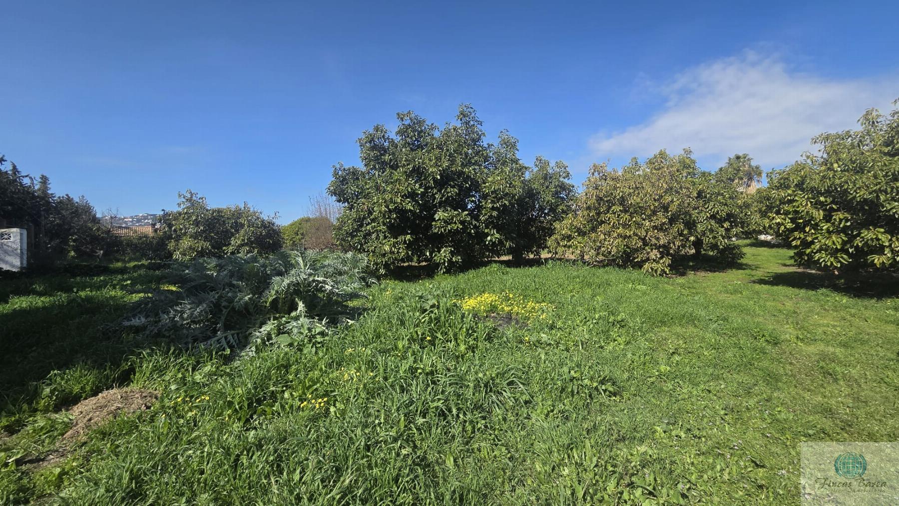 Venta de finca rústica en Mijas
