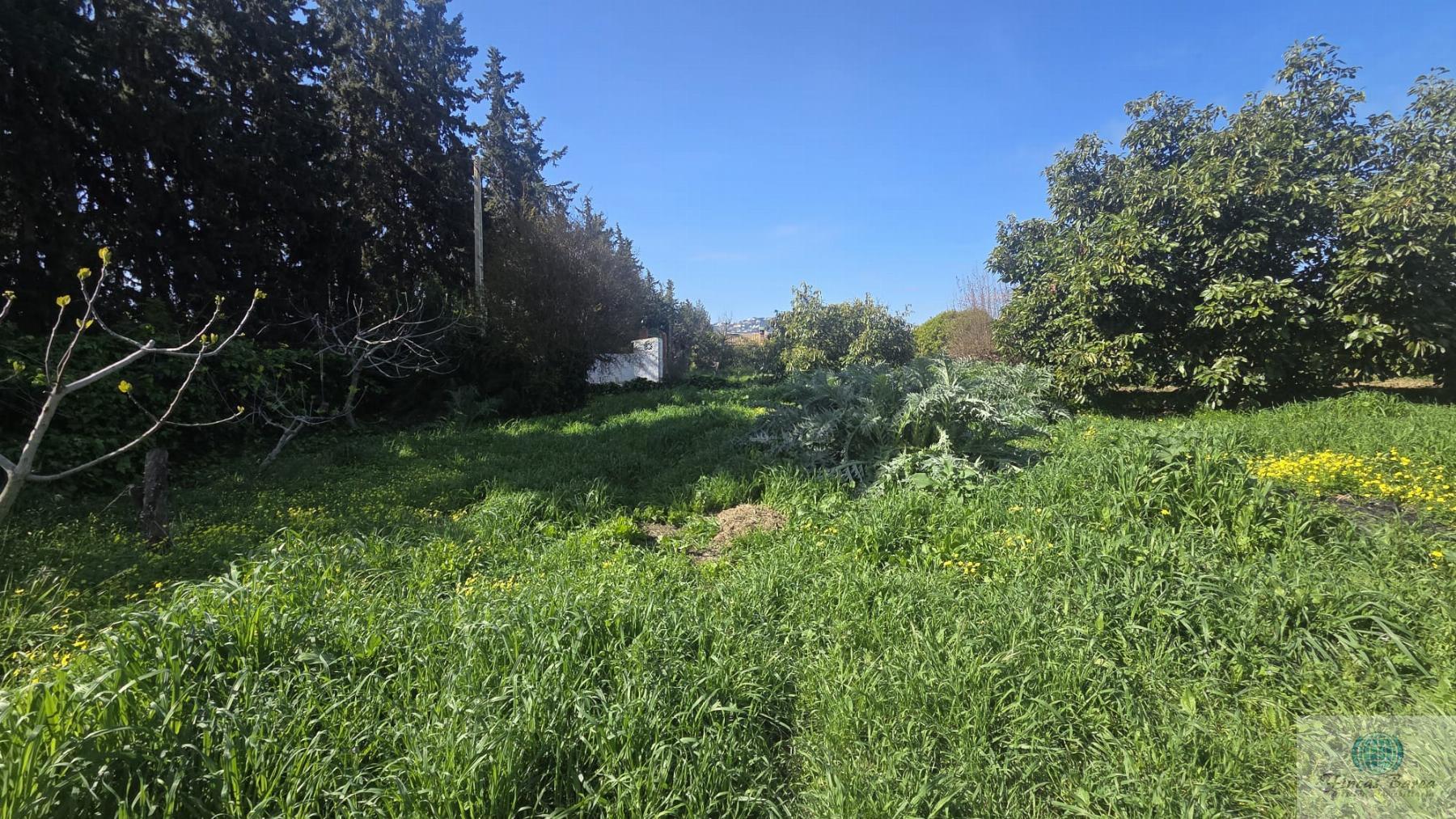 Venta de finca rústica en Mijas