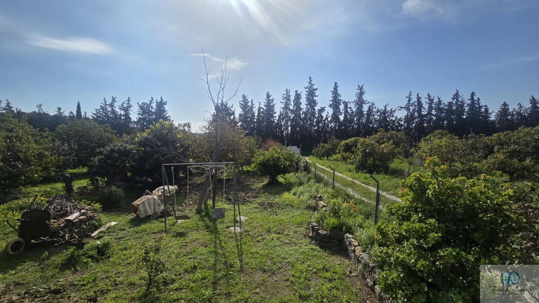 Venta de finca rústica en Mijas