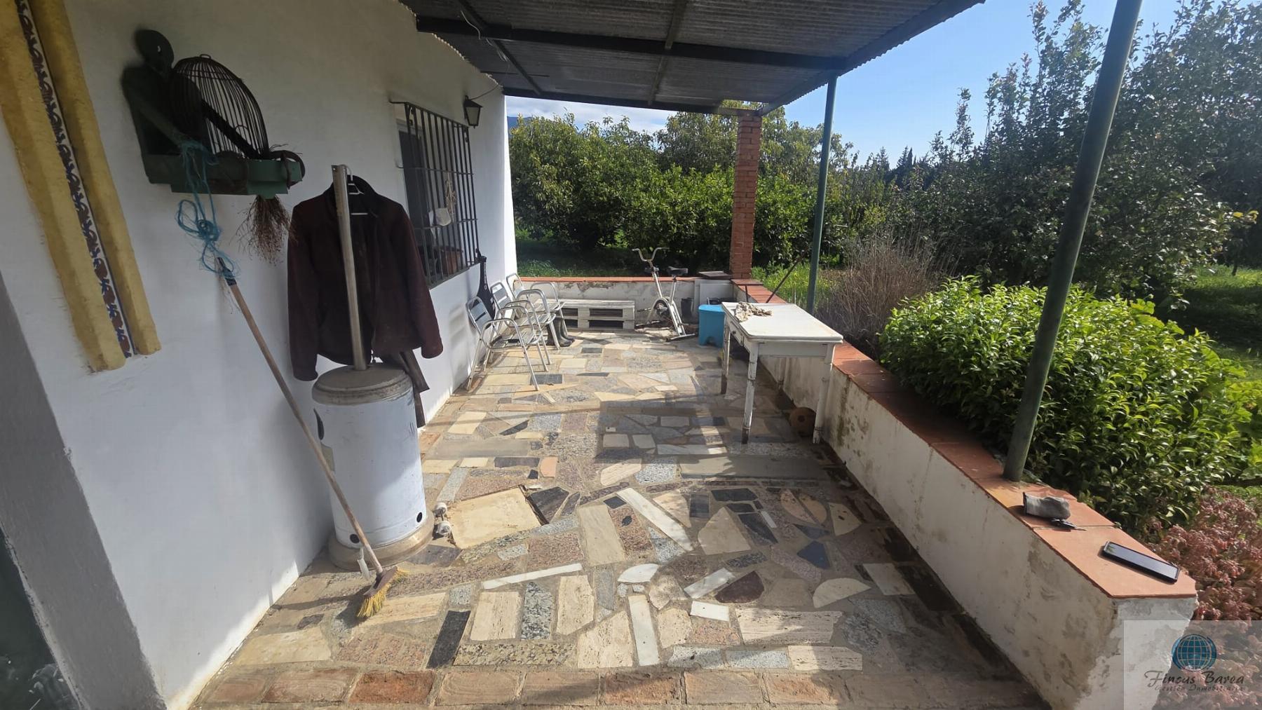 Venta de finca rústica en Mijas