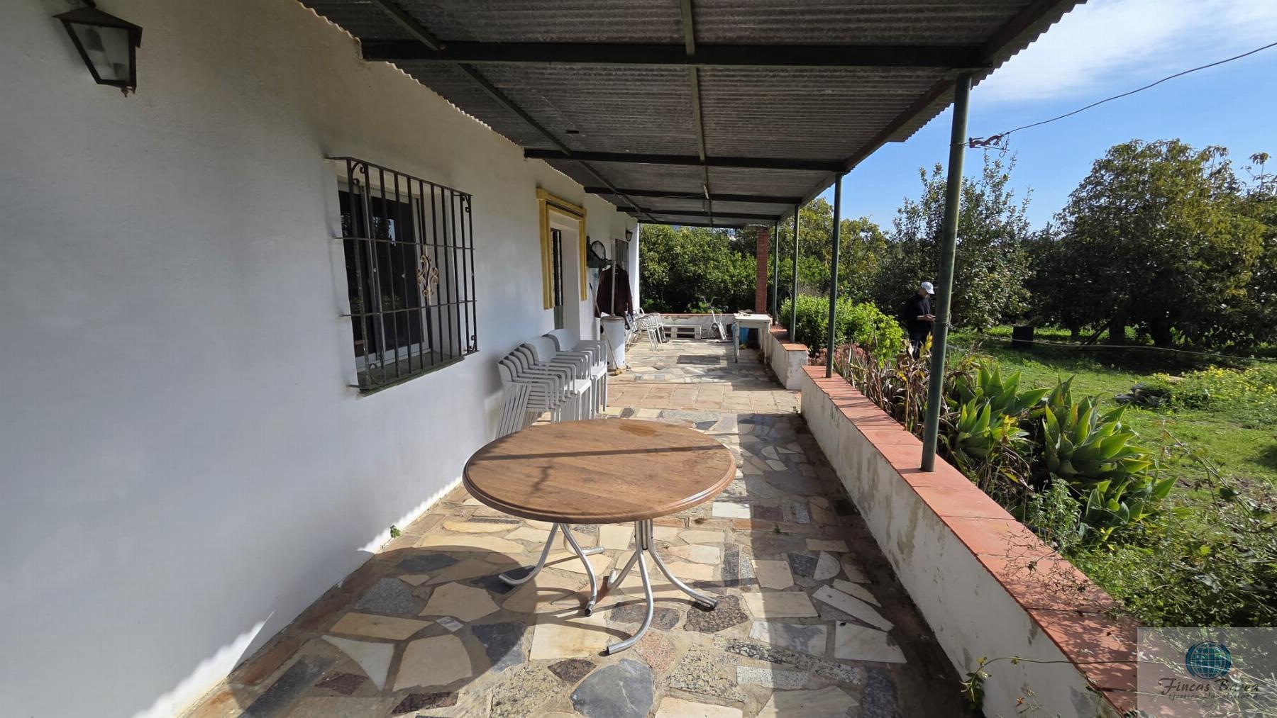 Venta de finca rústica en Mijas